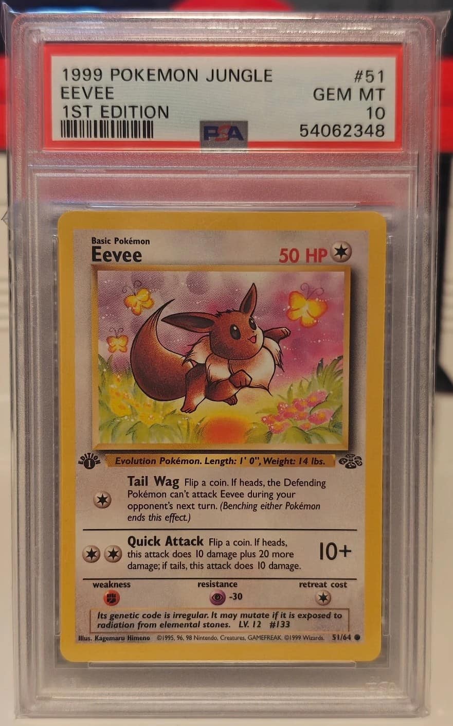 Eevee