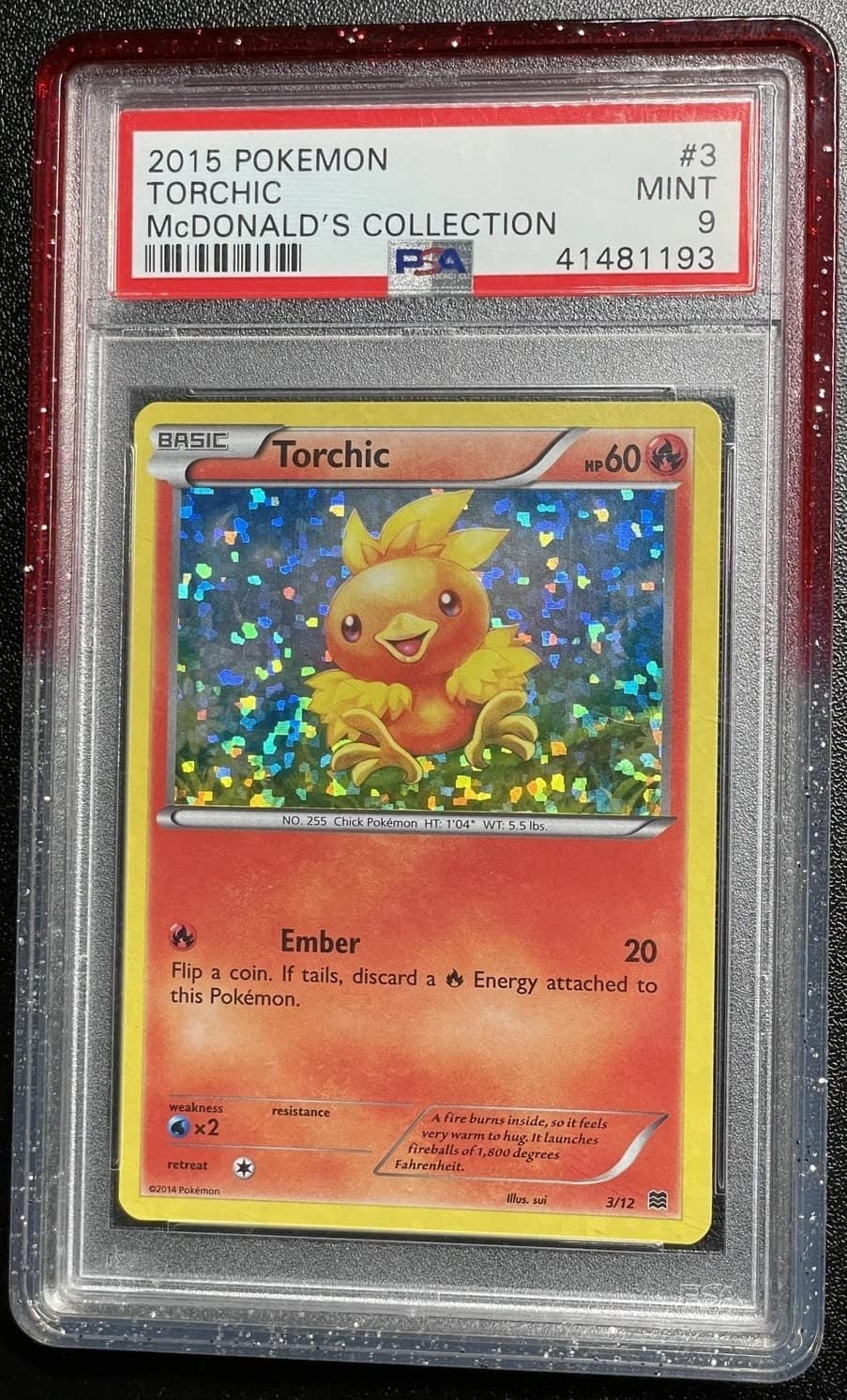 Torchic