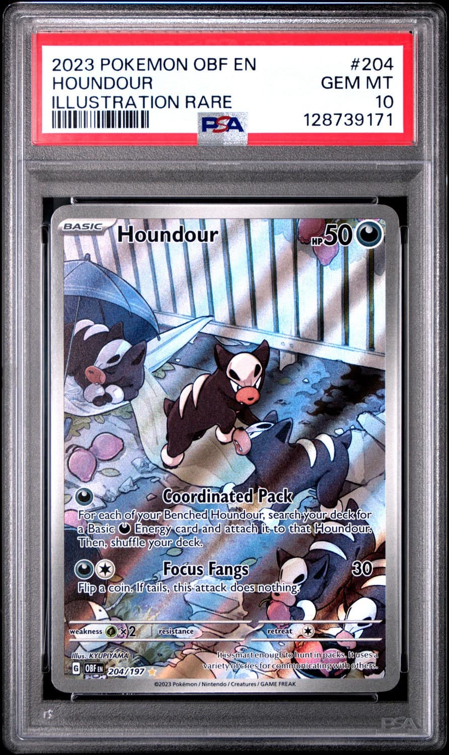 Houndour