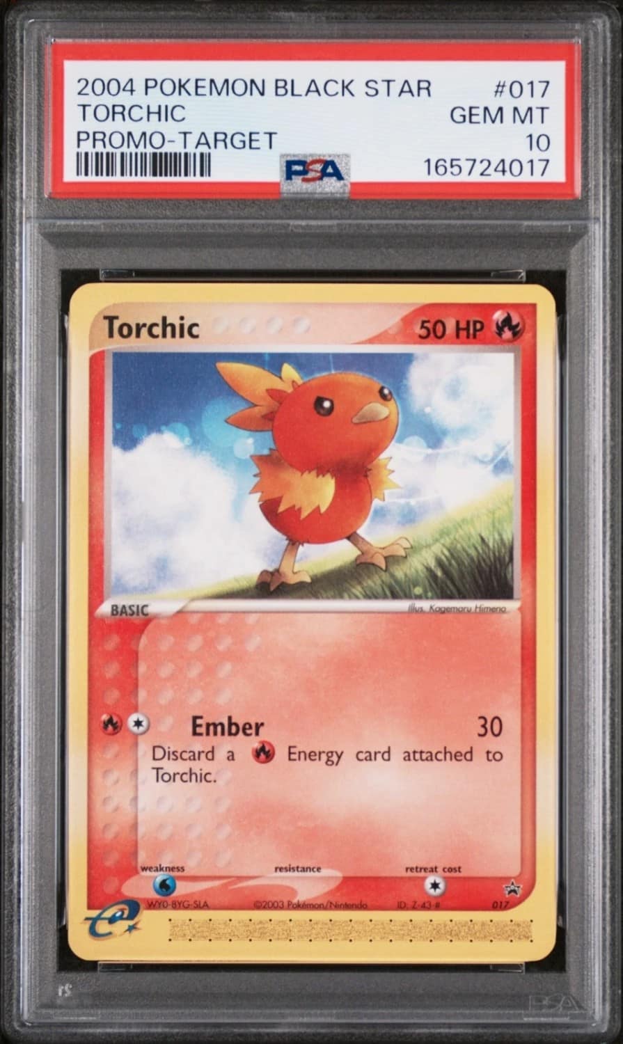 Torchic