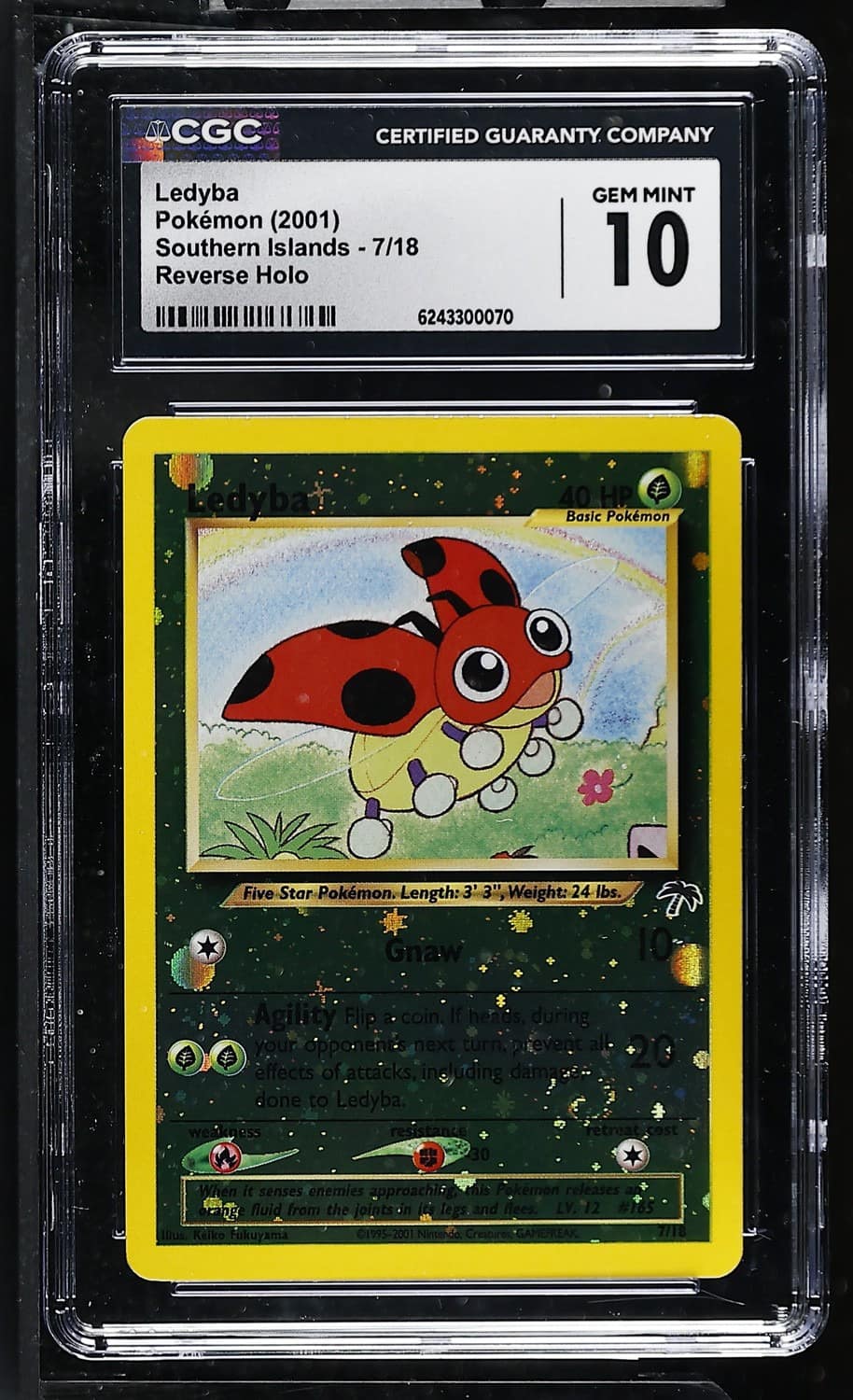 Ledyba