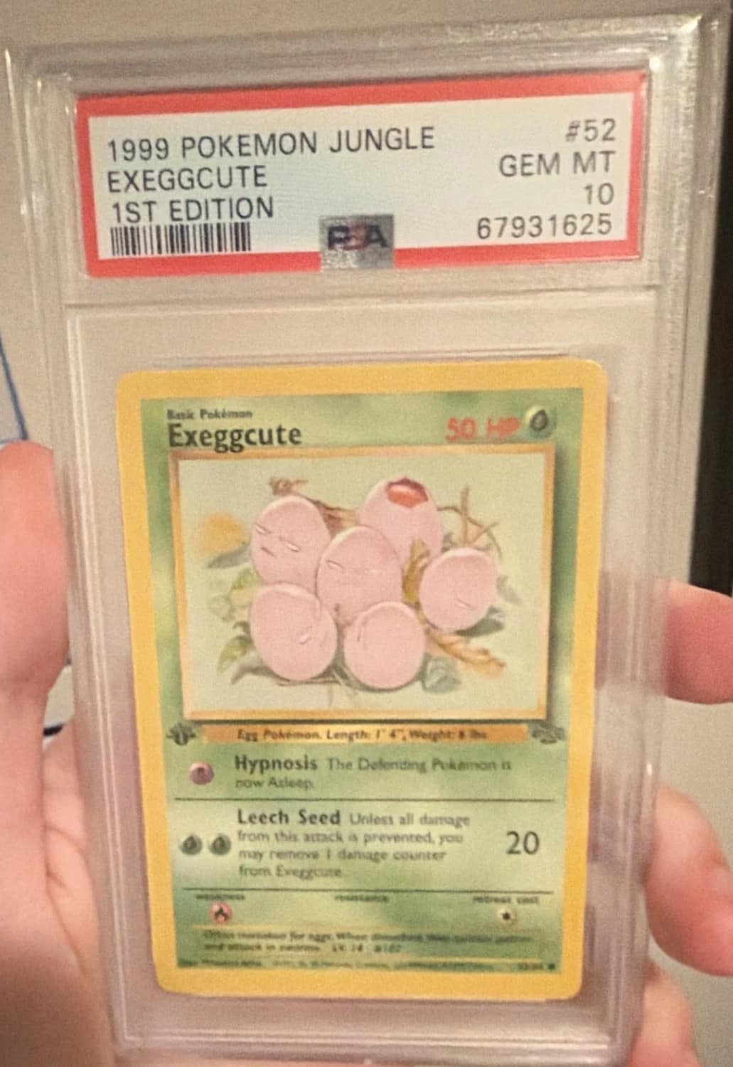 Exeggcute