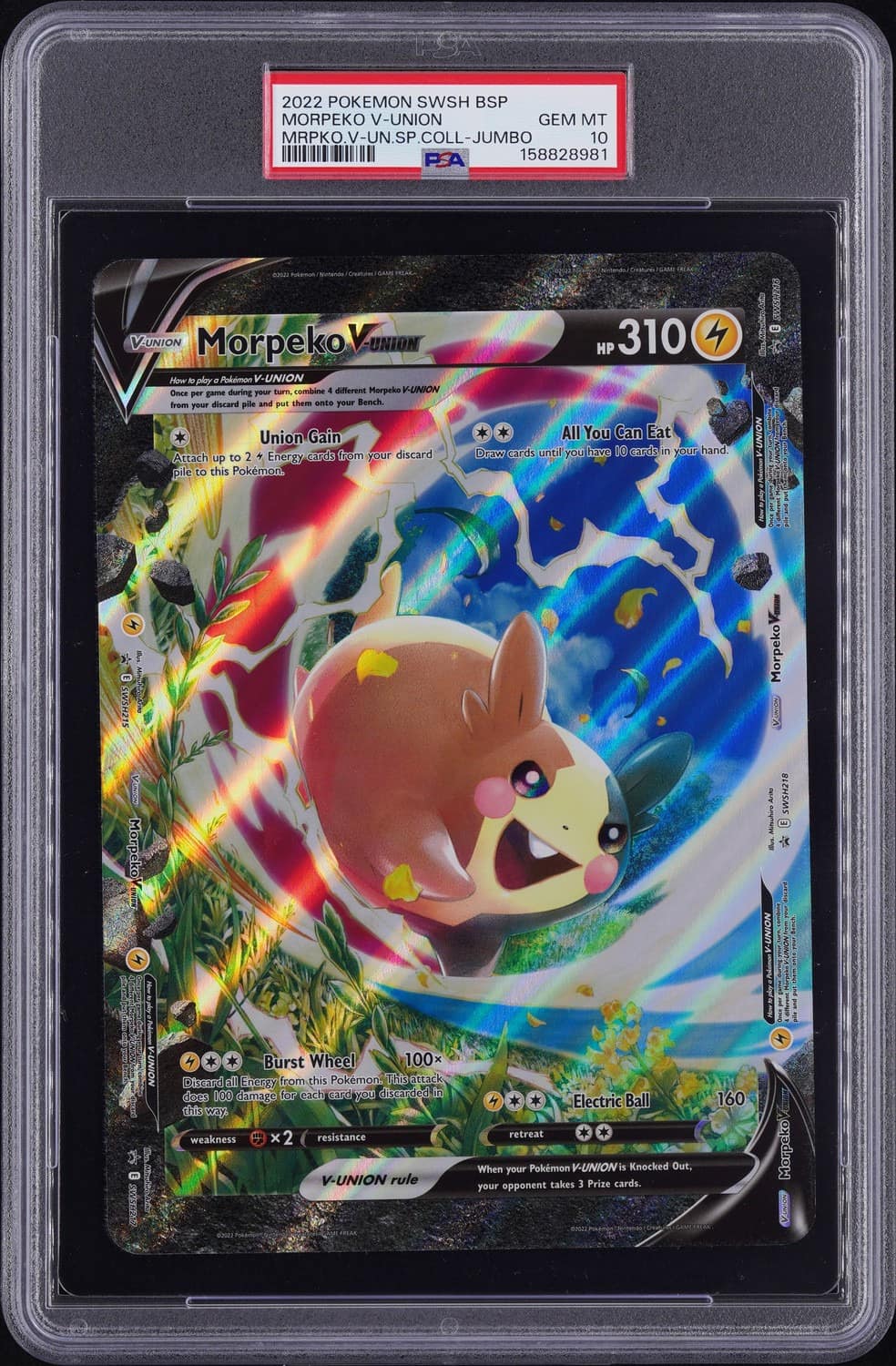 Morpeko V-Union