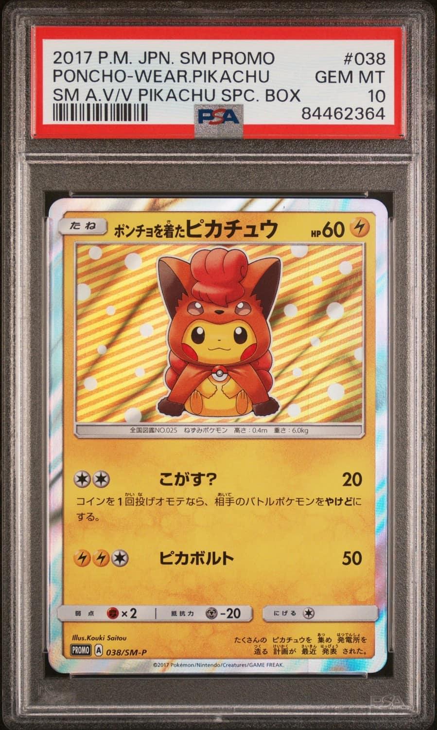 Poncho-Wearing Pikachu