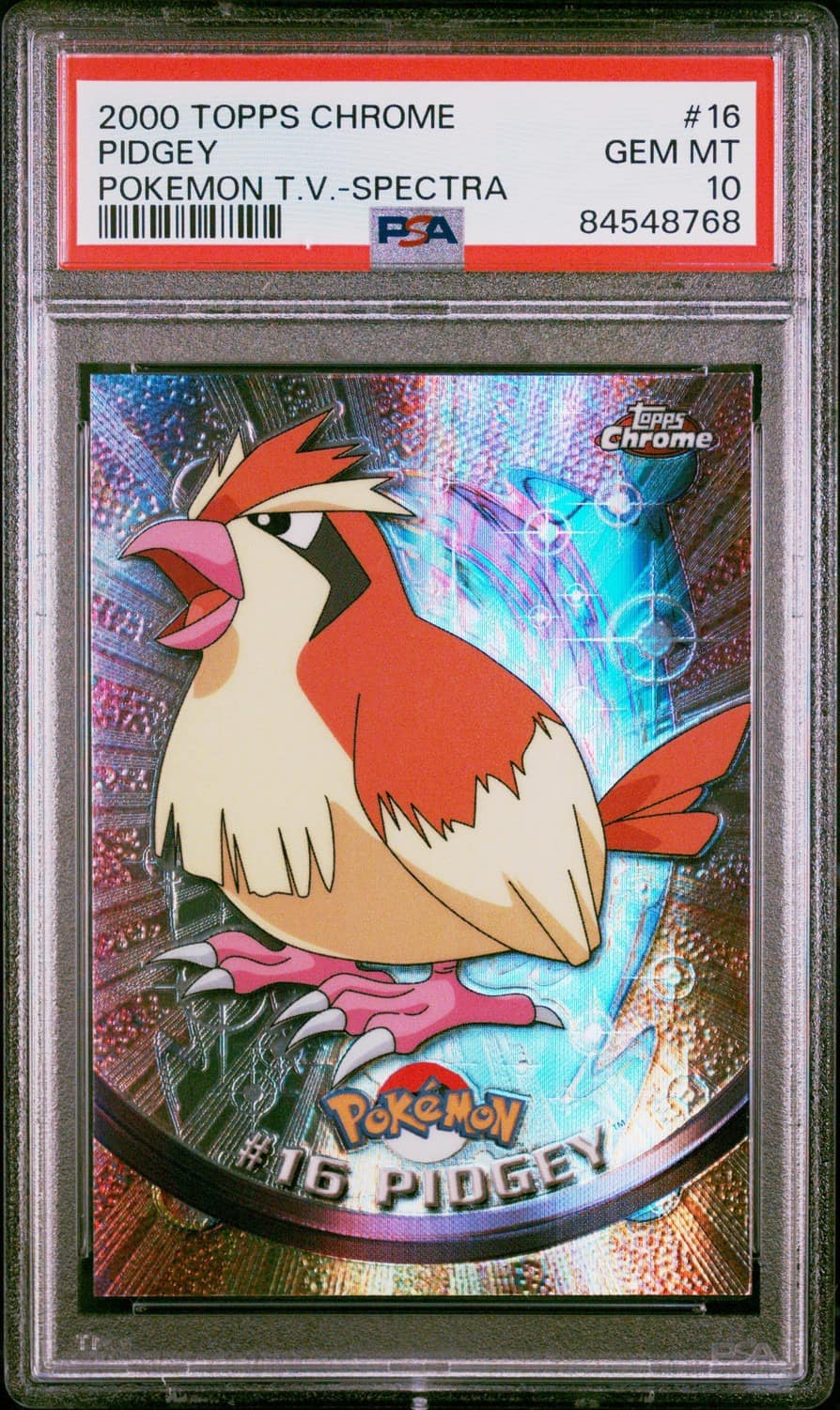 Pidgey