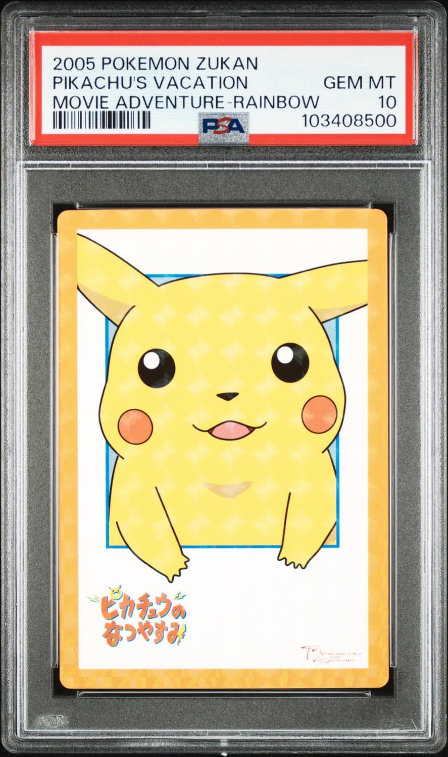 Pikachu'S Vacation