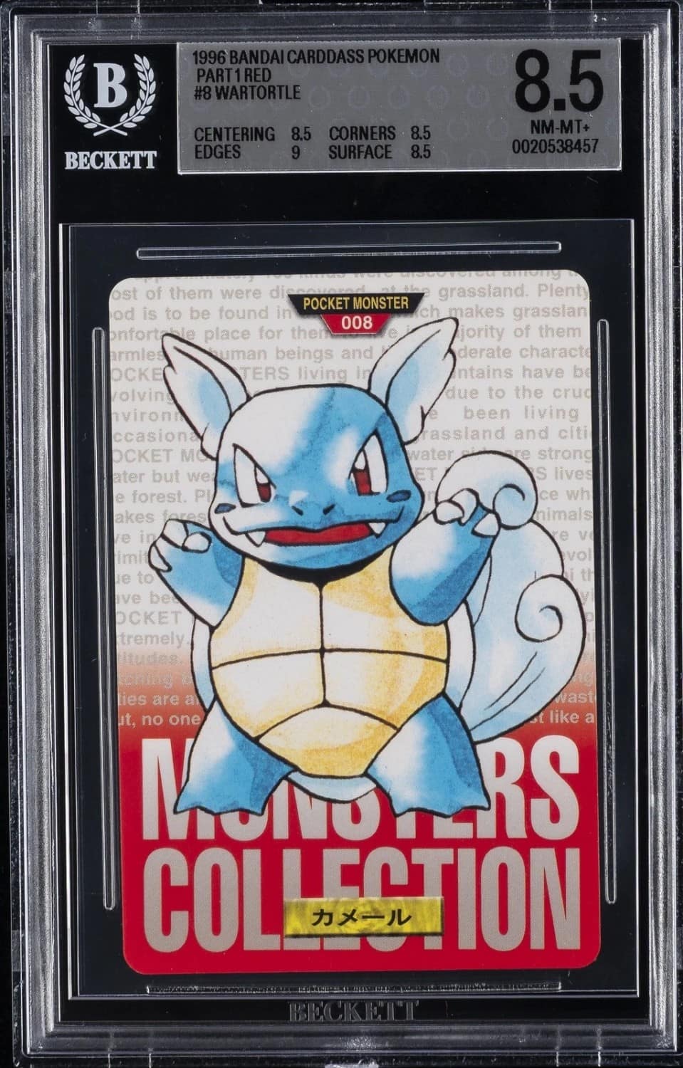 Wartortle
