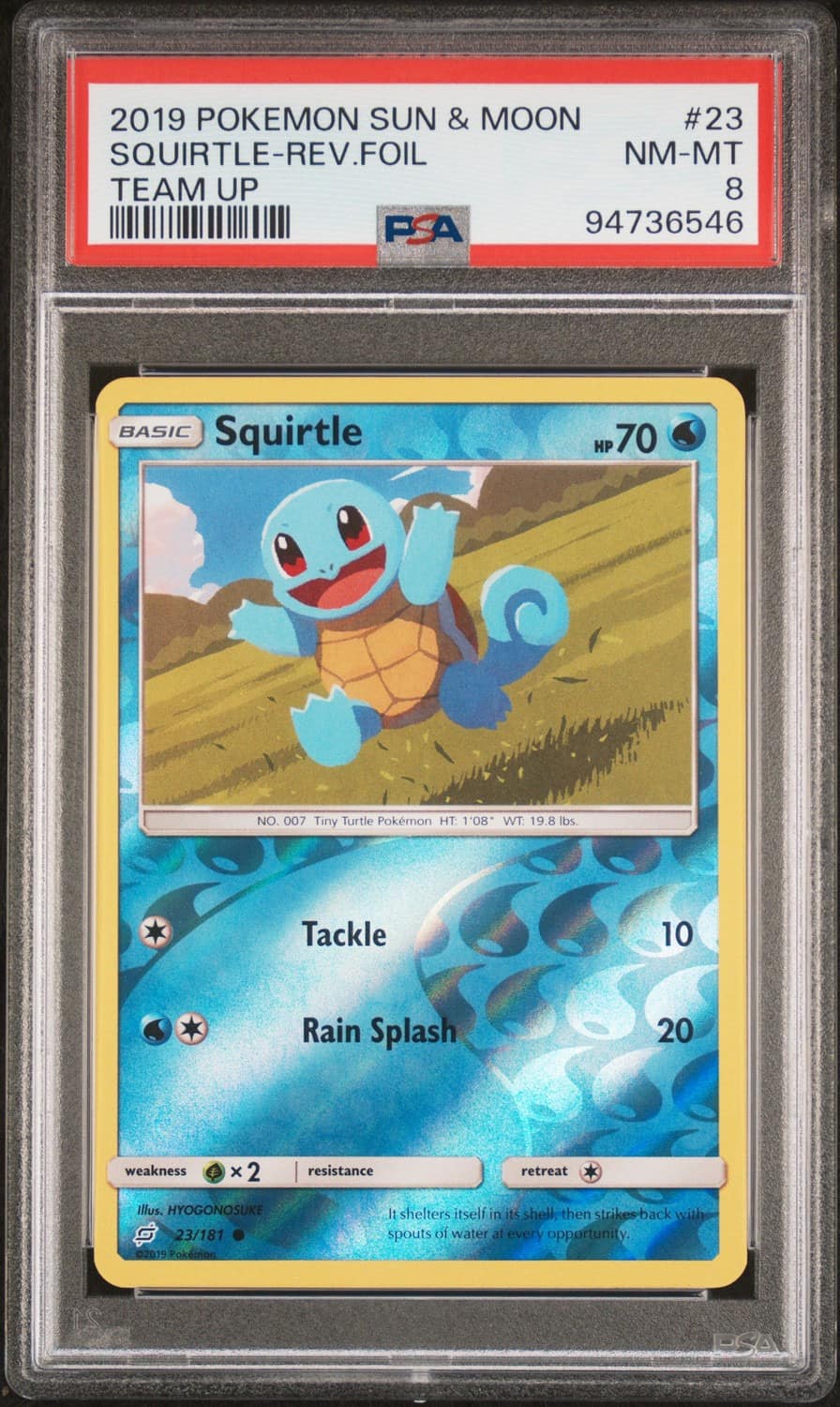Squirtle