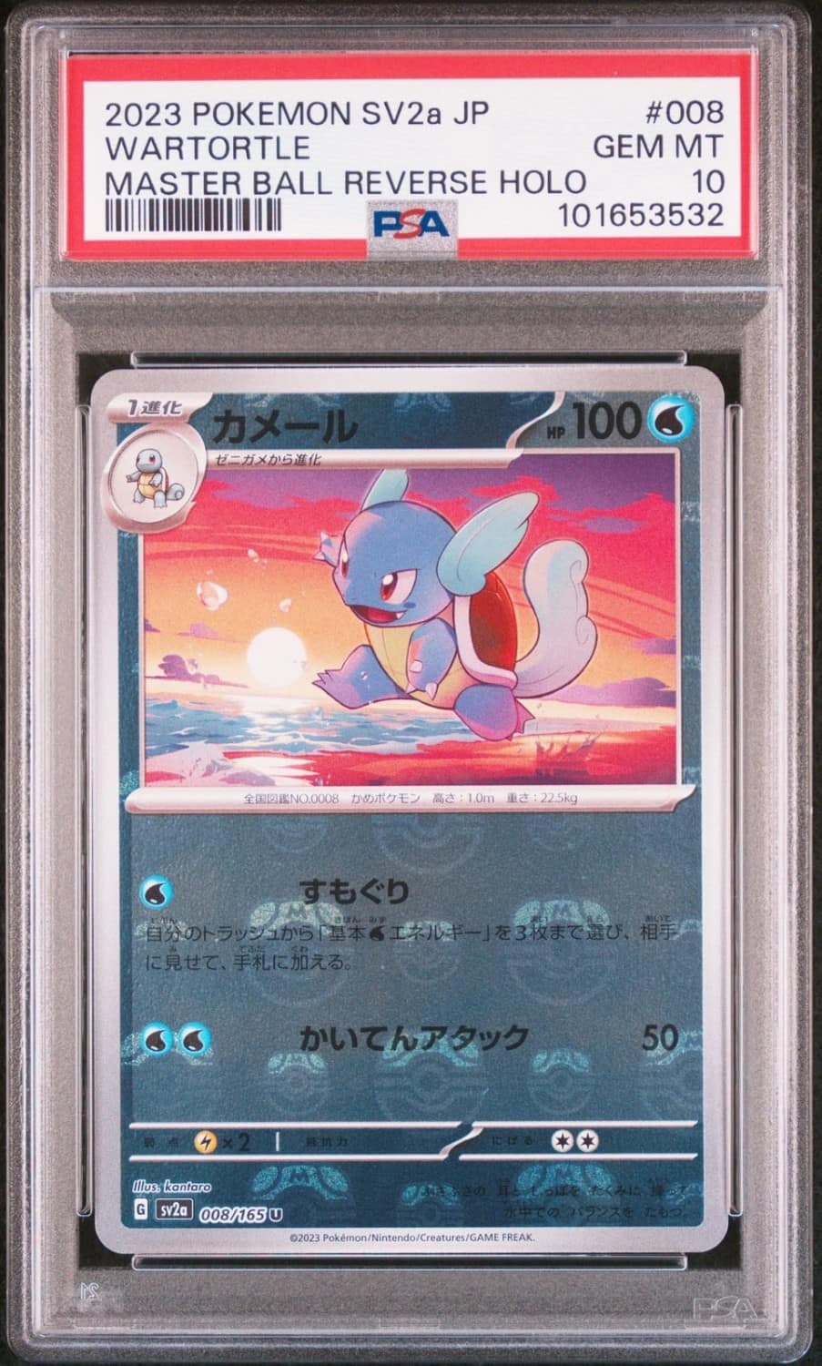 Wartortle