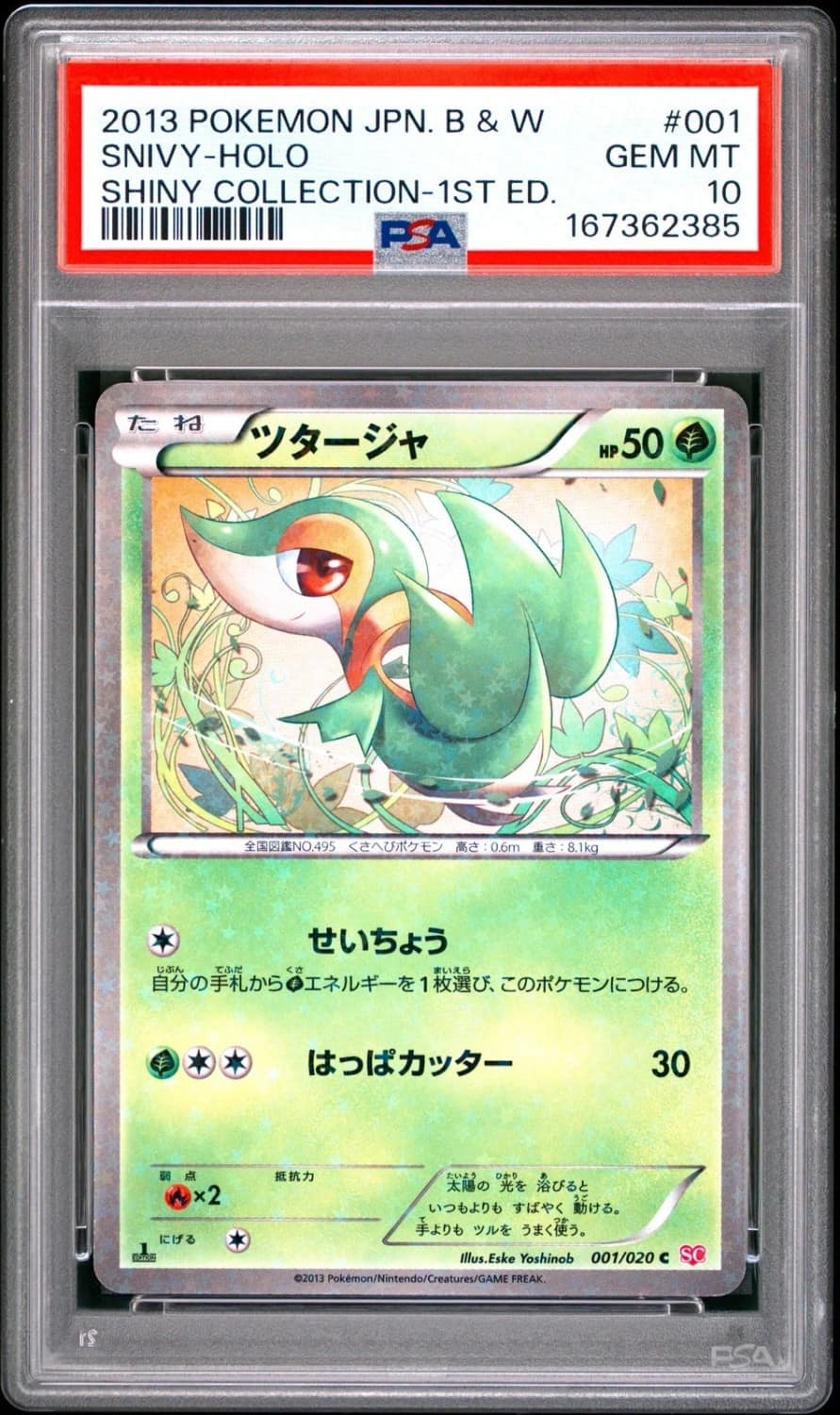 Snivy