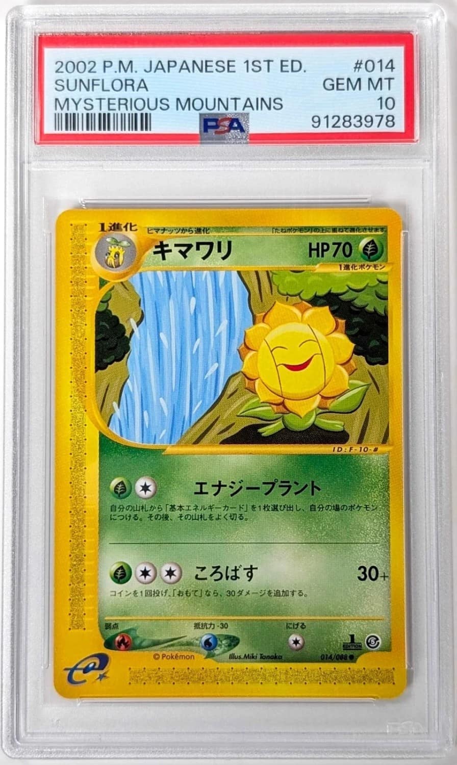 Sunflora