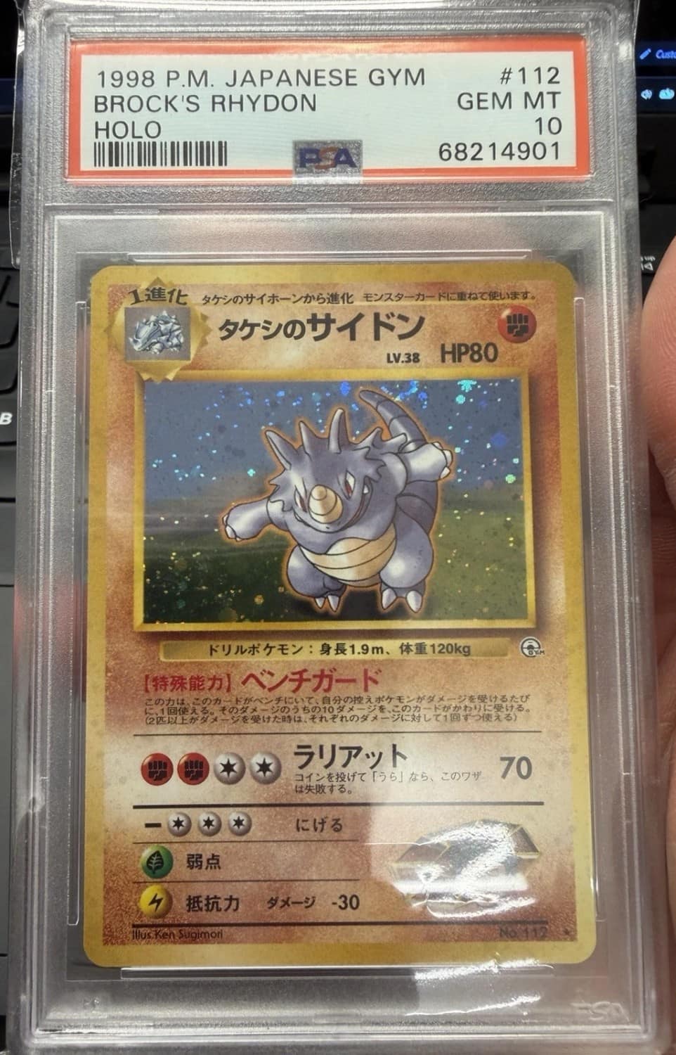 Brock'S Rhydon