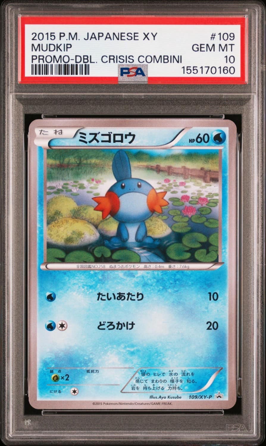 Mudkip