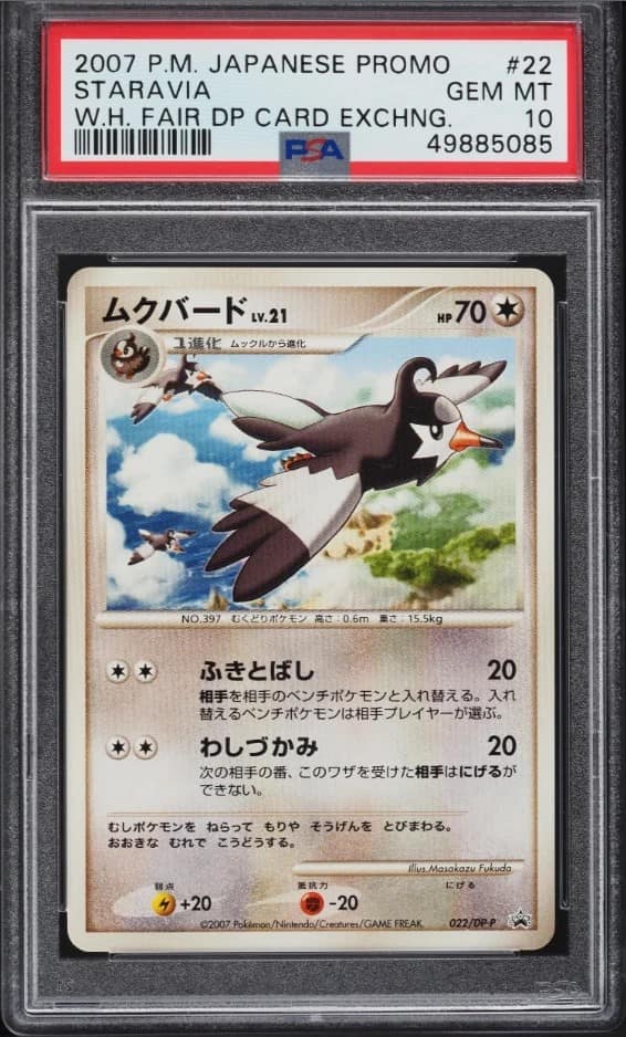 Staravia