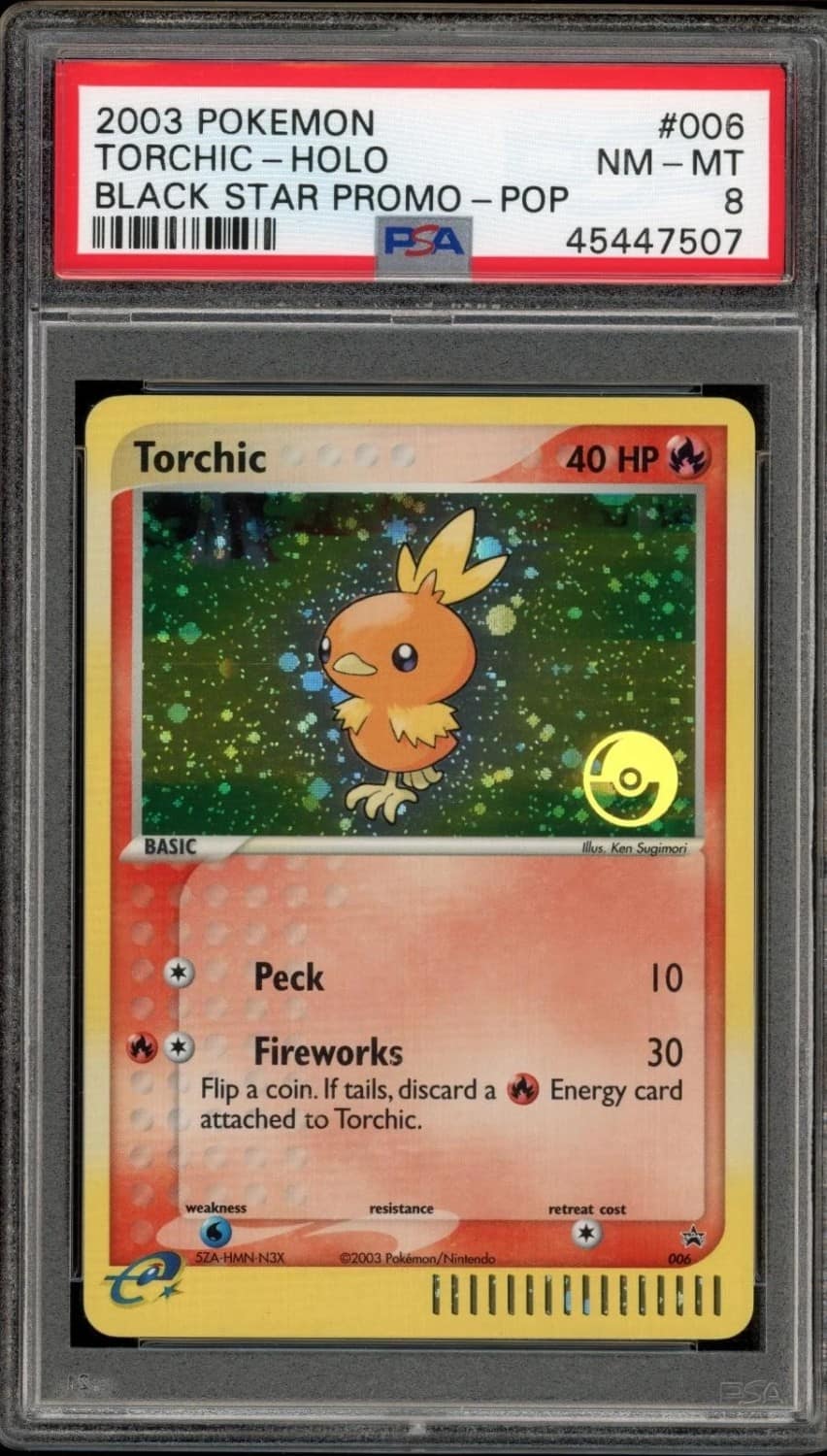 Torchic