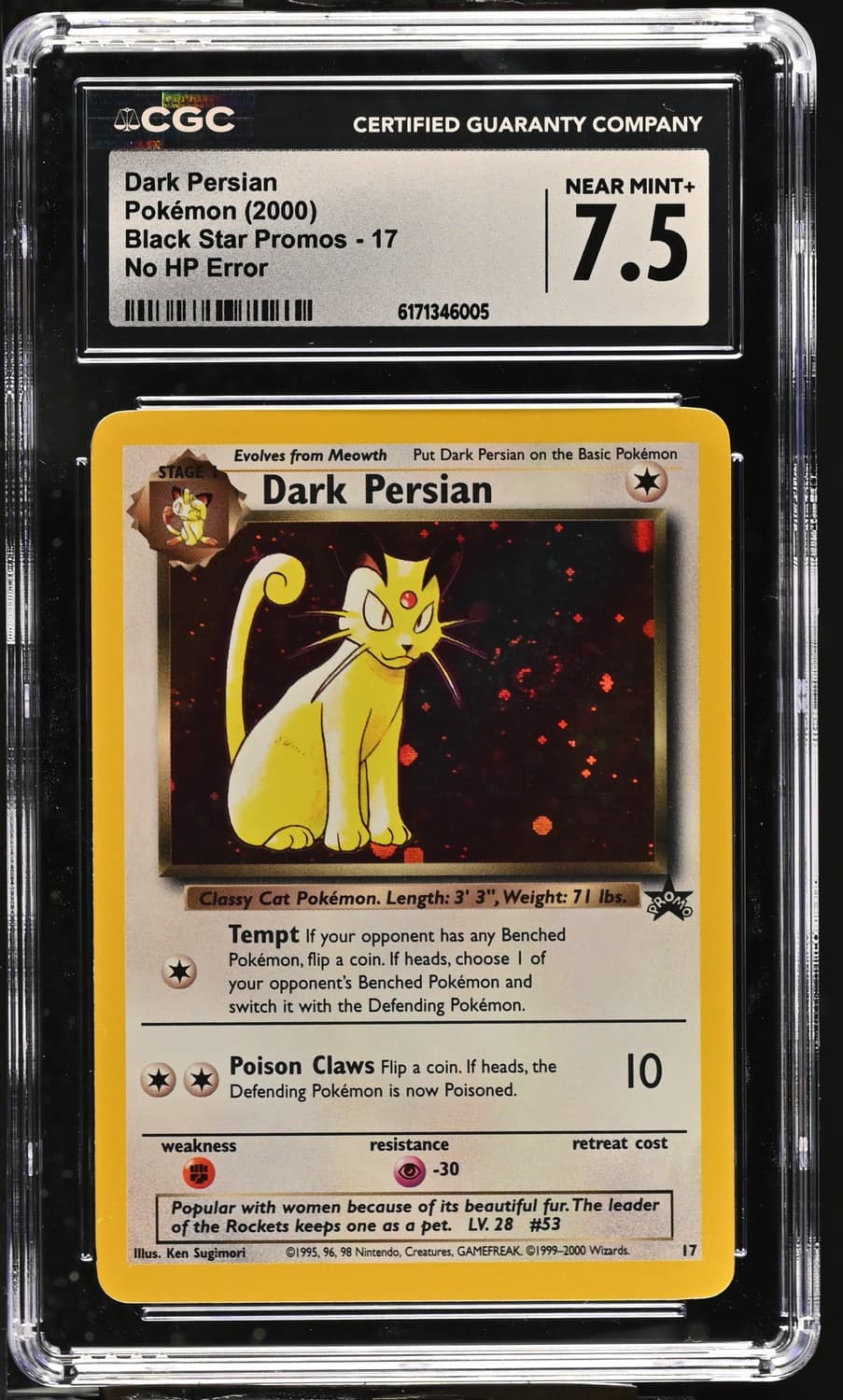 Dark Persian