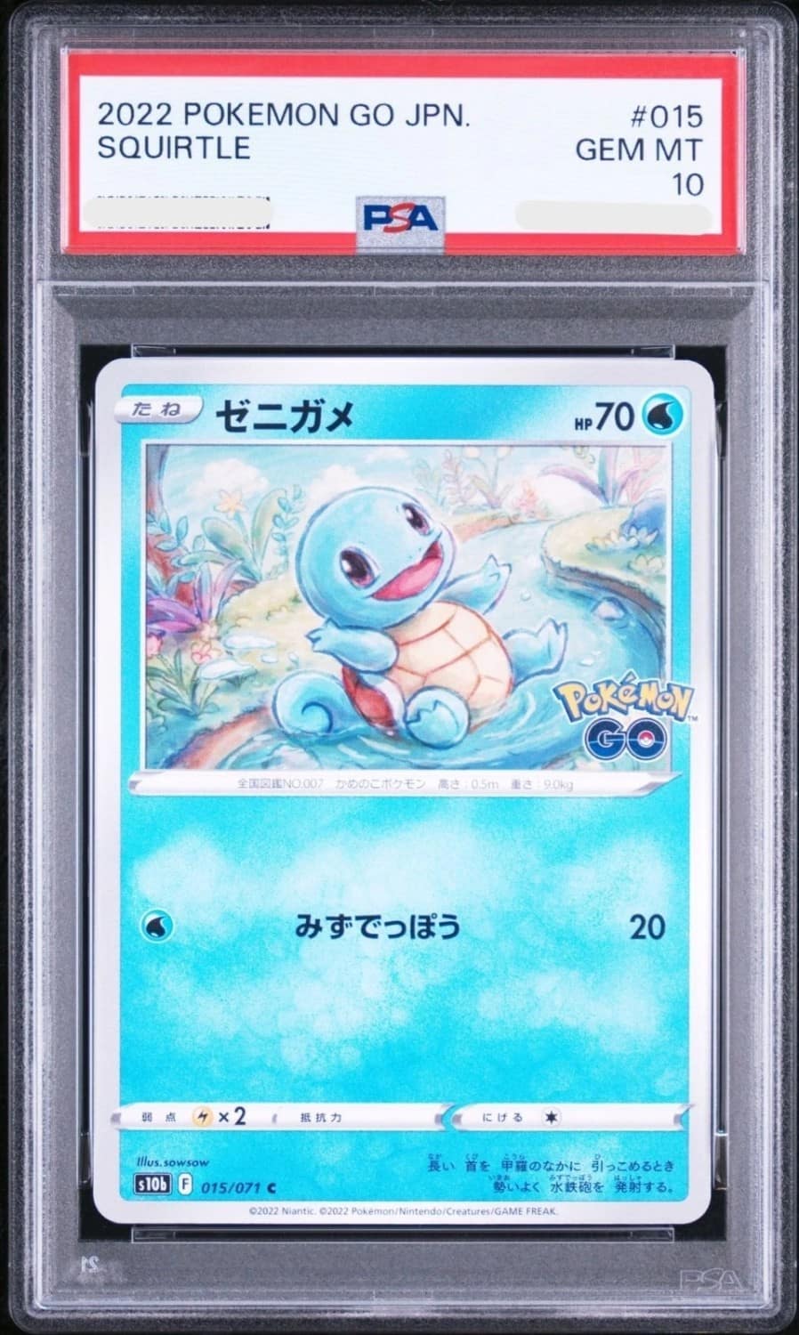 Squirtle