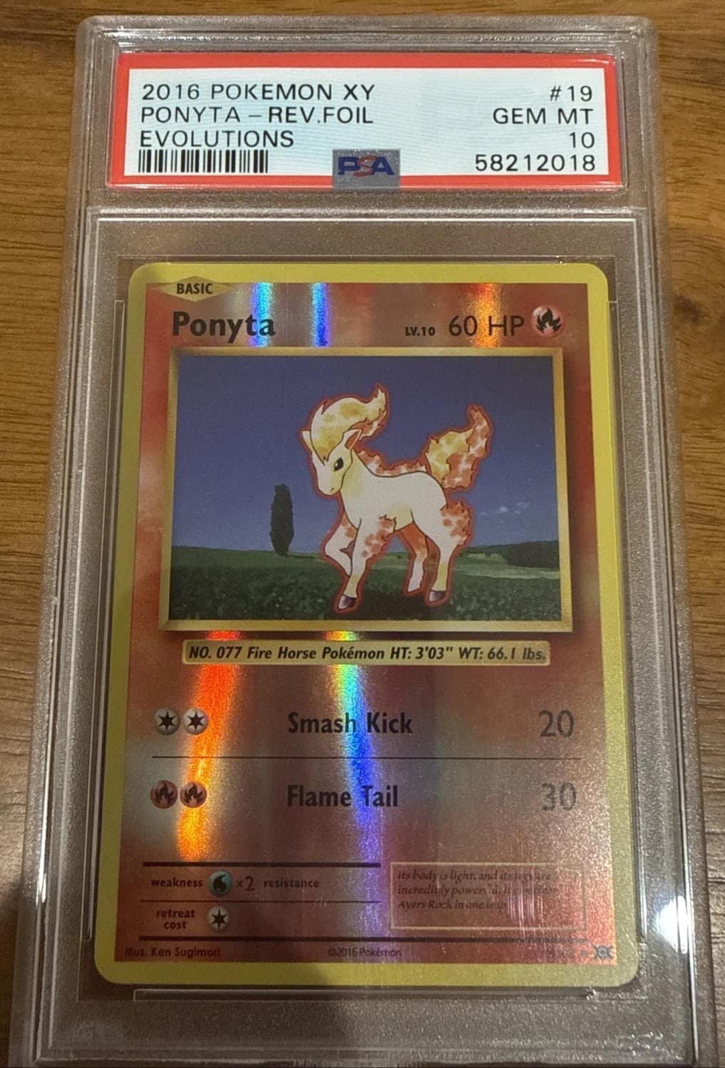 Ponyta