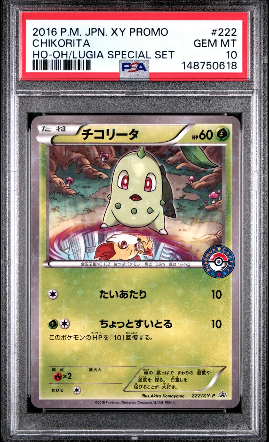 Chikorita