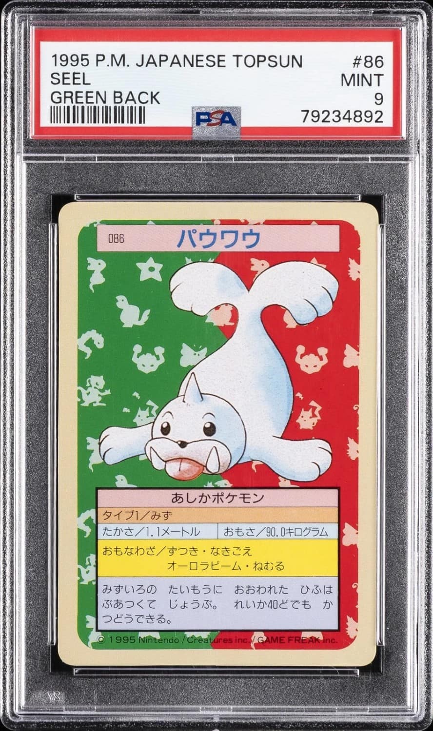 Seel