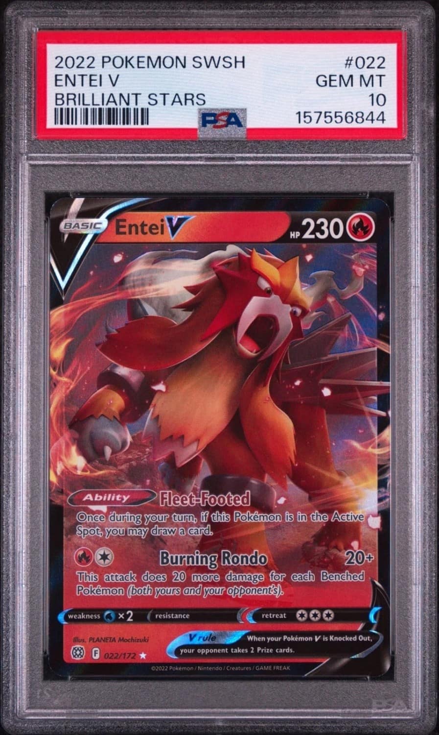 Entei V