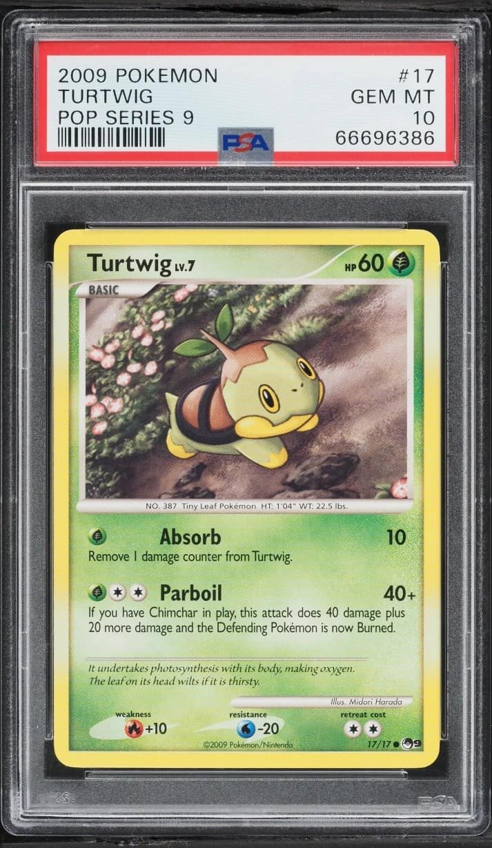 Turtwig