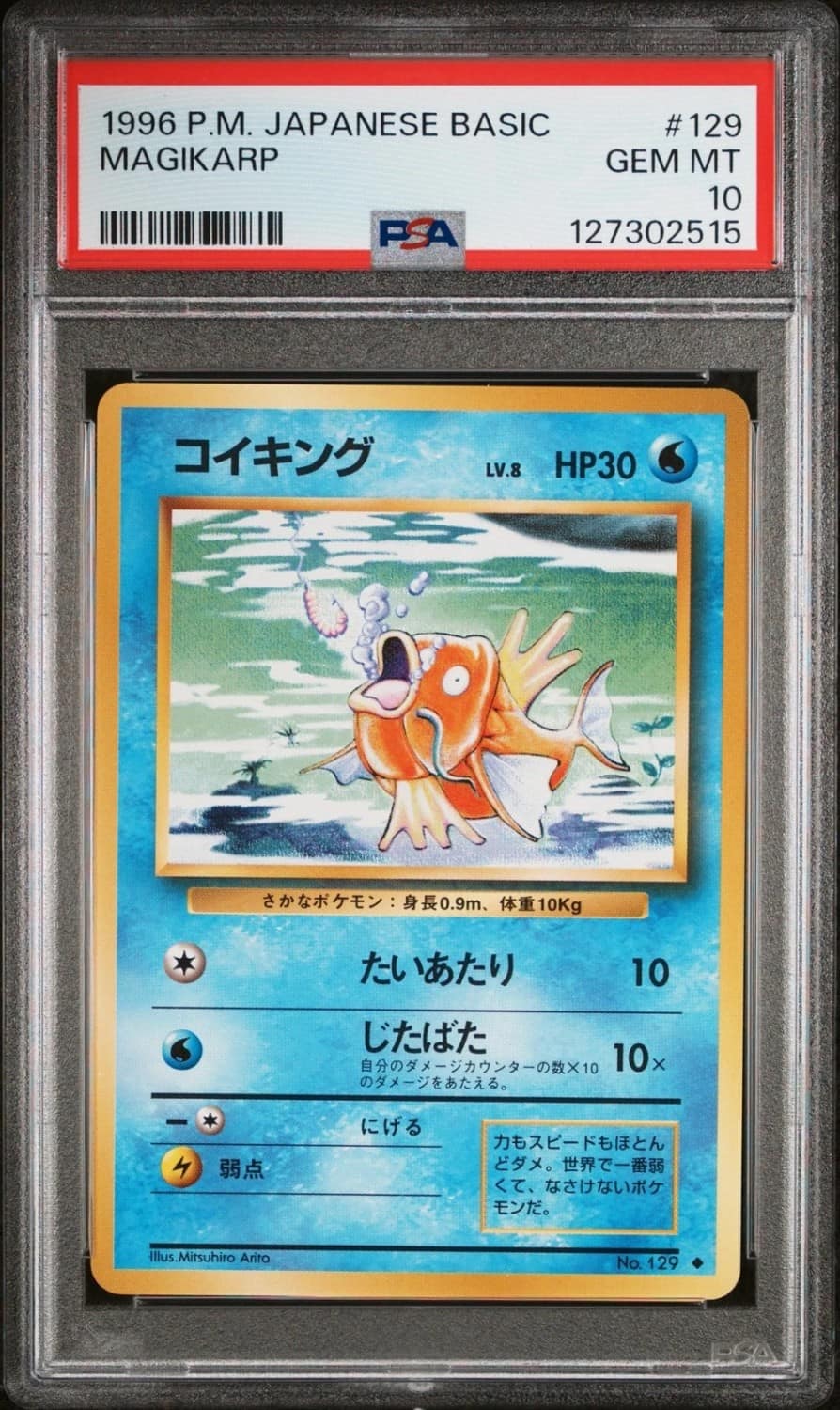 Magikarp