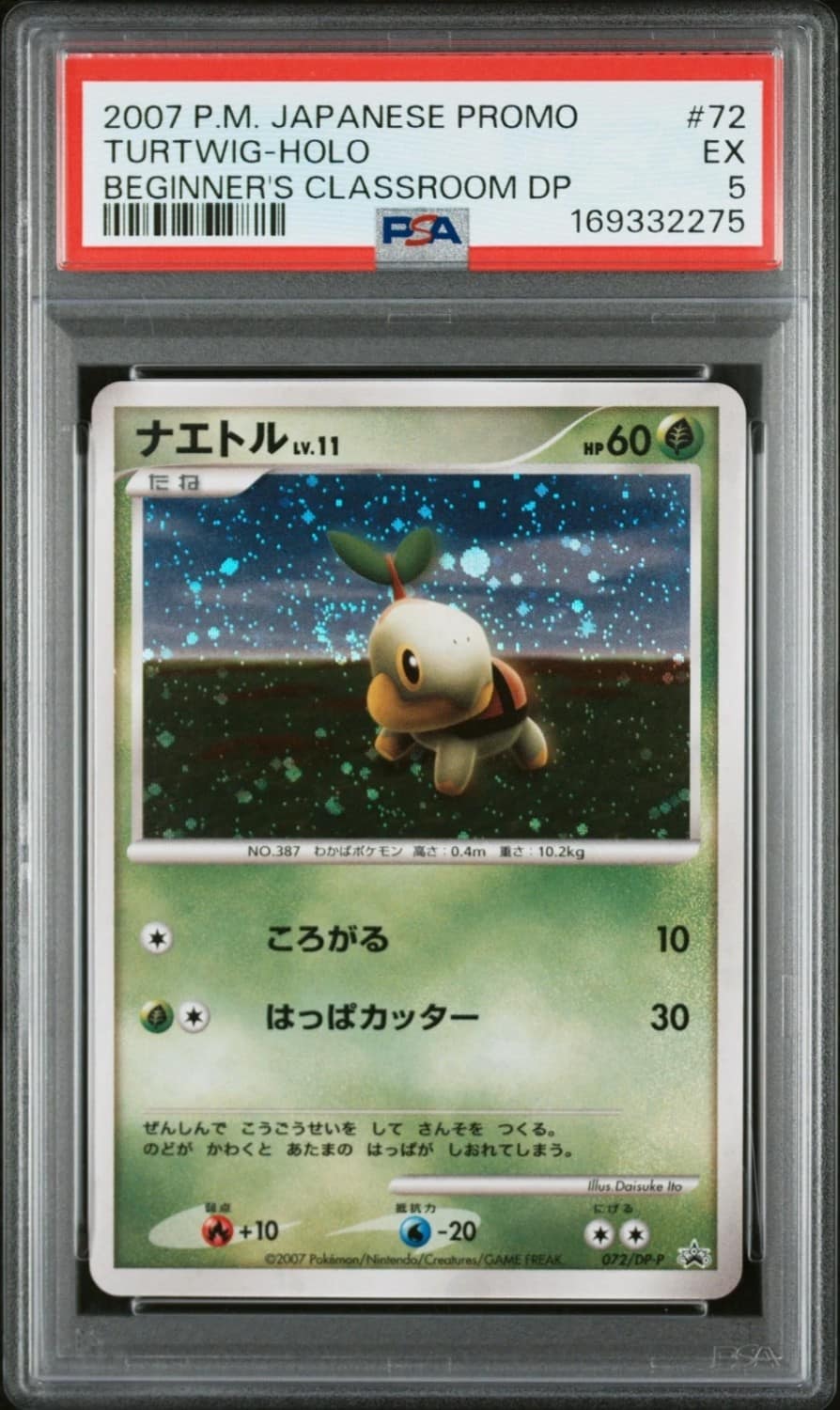 Turtwig