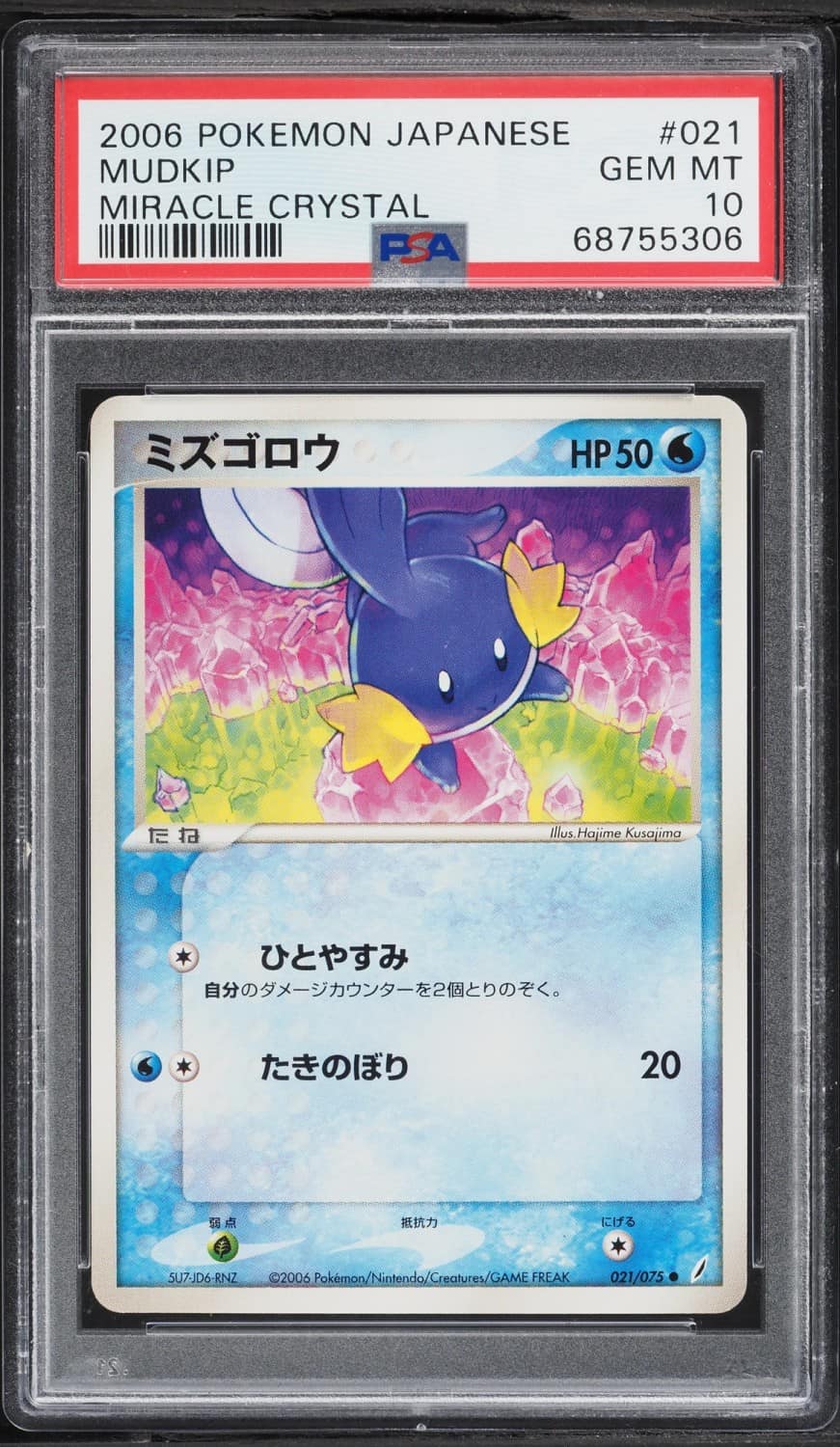 Mudkip