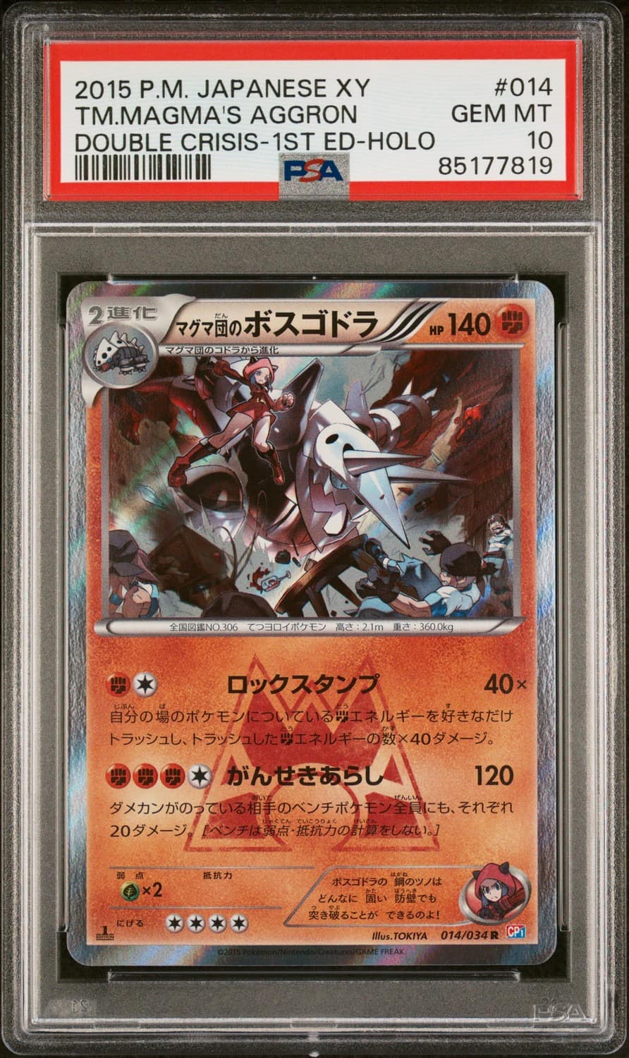 Team Magma'S Aggron