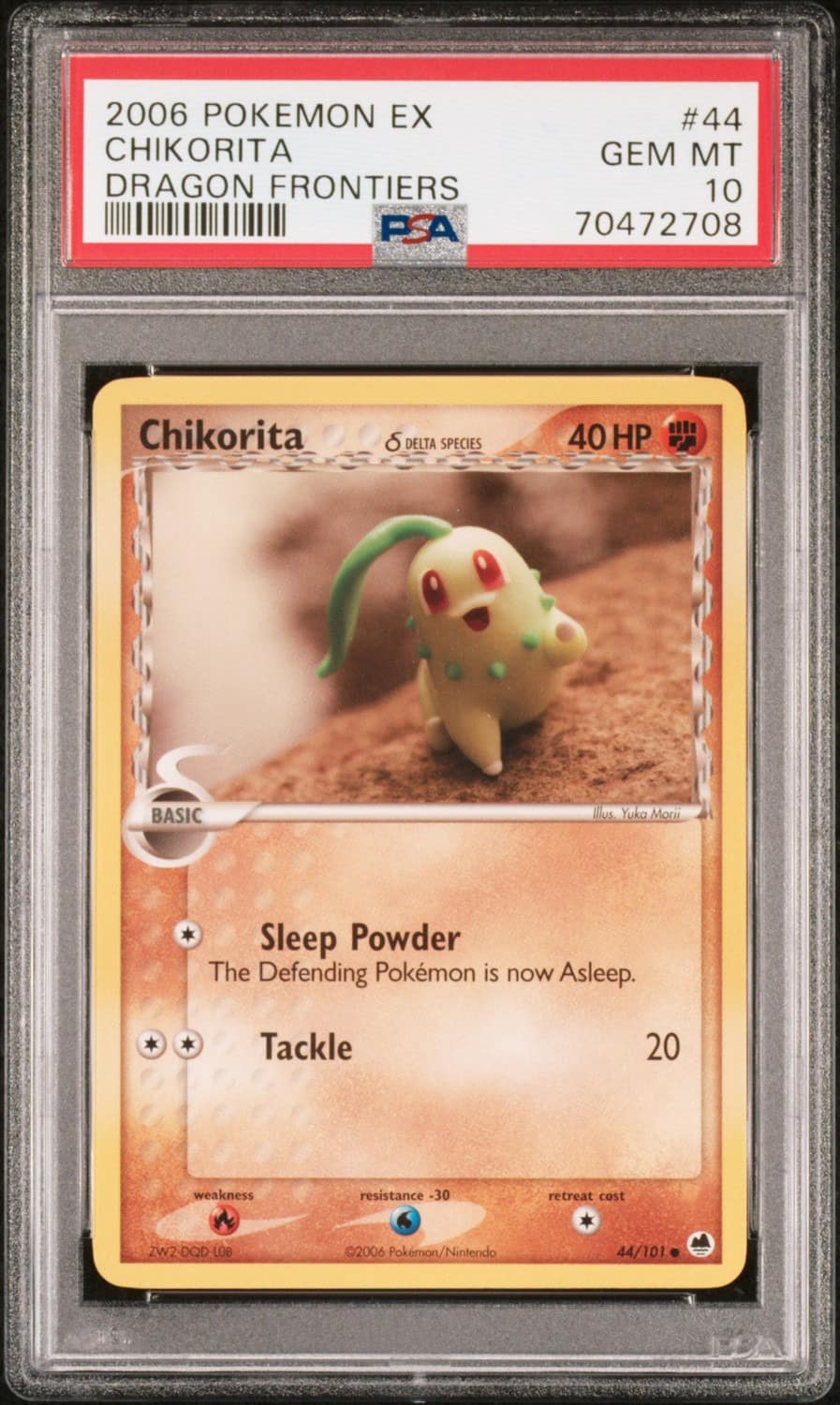 Chikorita δ