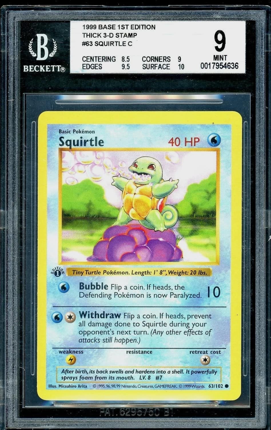 Squirtle C