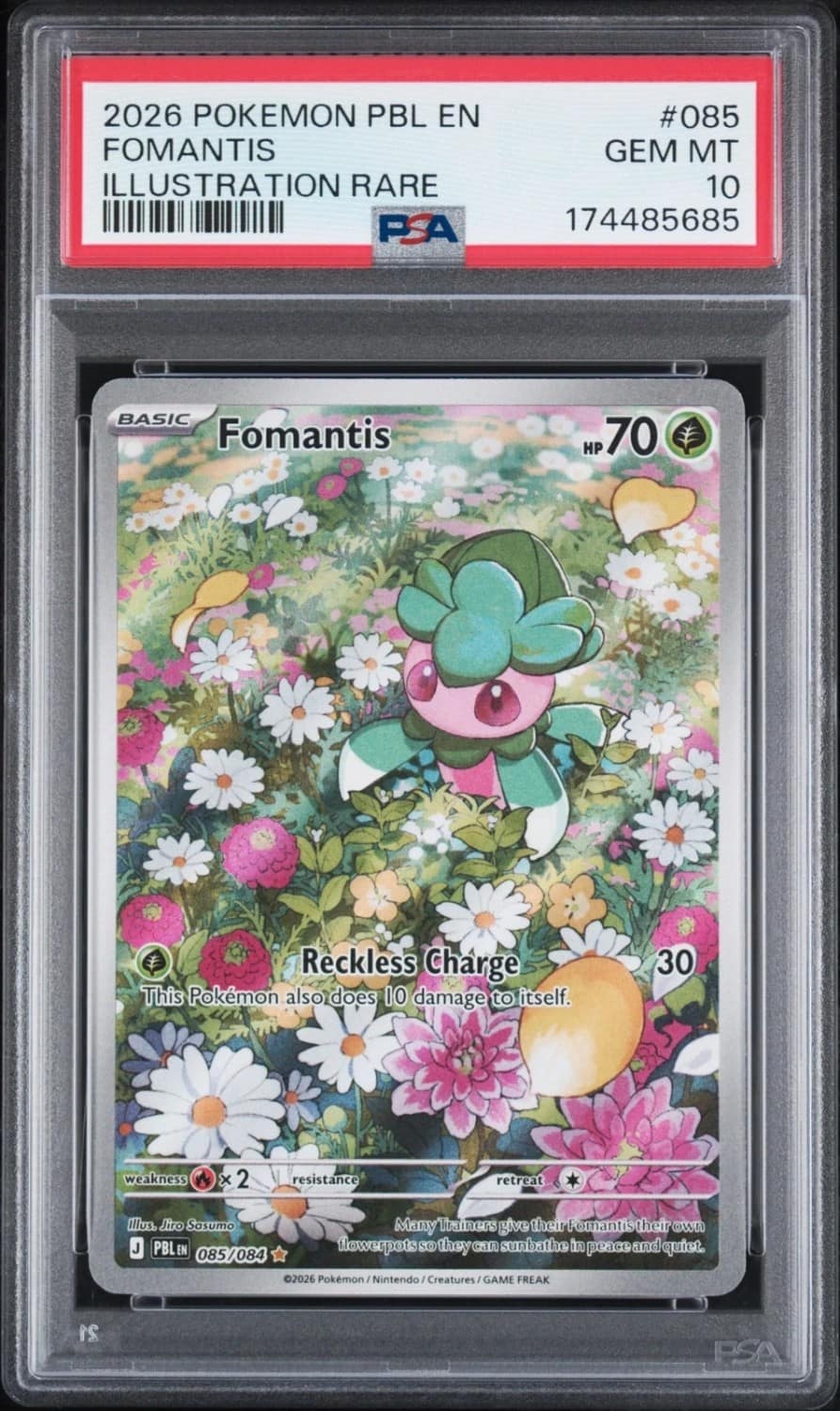Fomantis