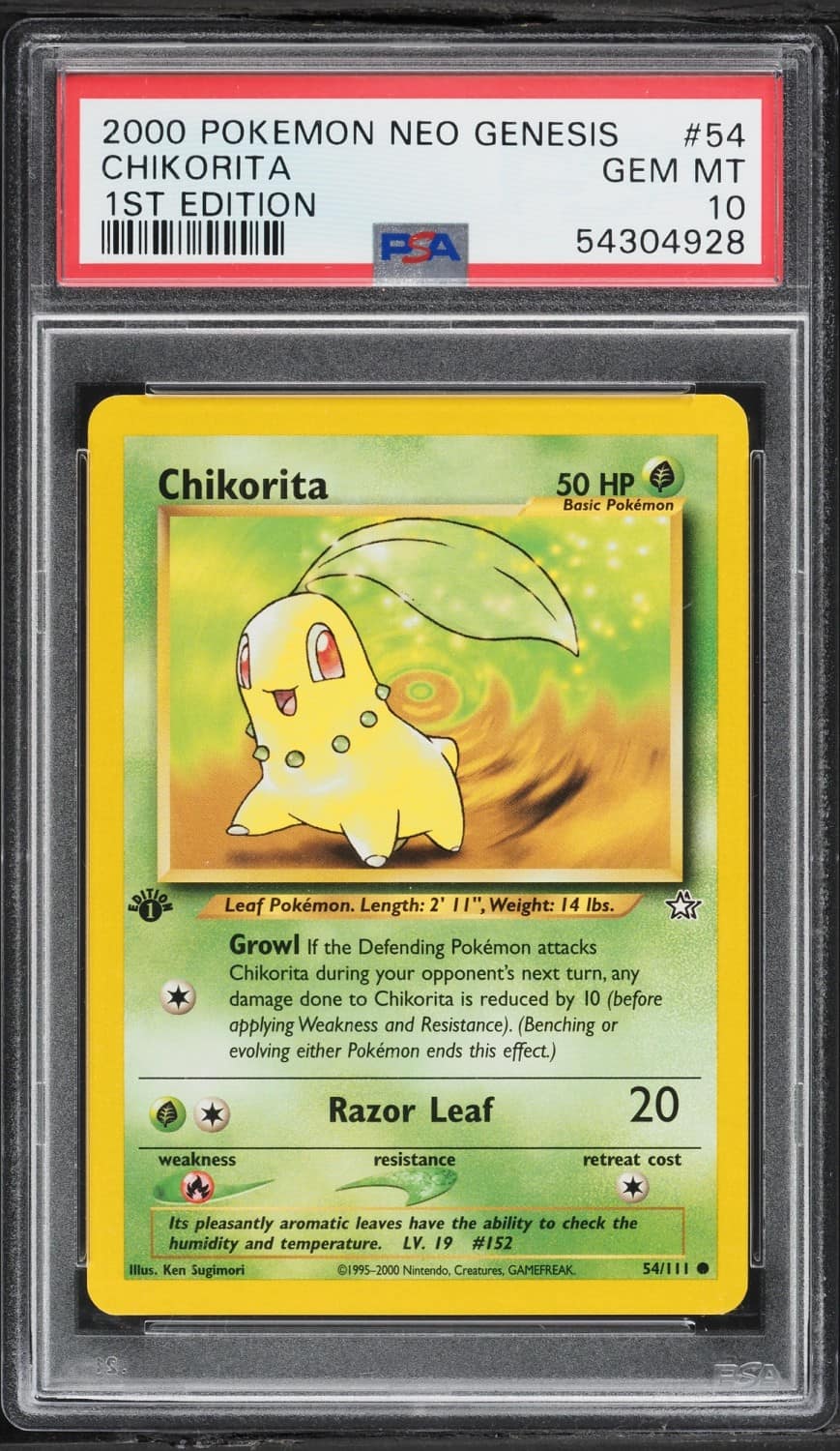 Chikorita