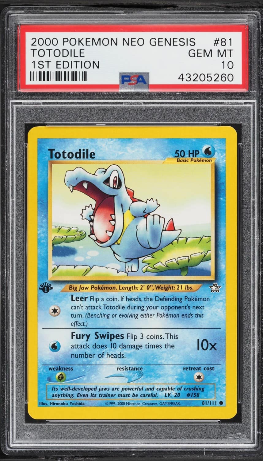Totodile