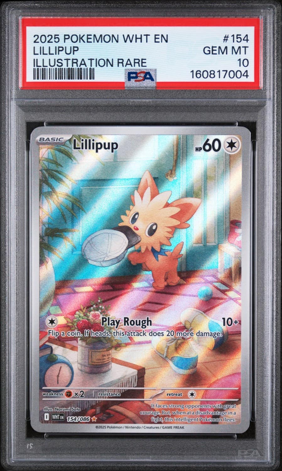 Lillipup