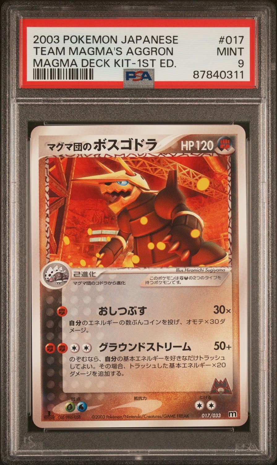 Team Magma'S Aggron