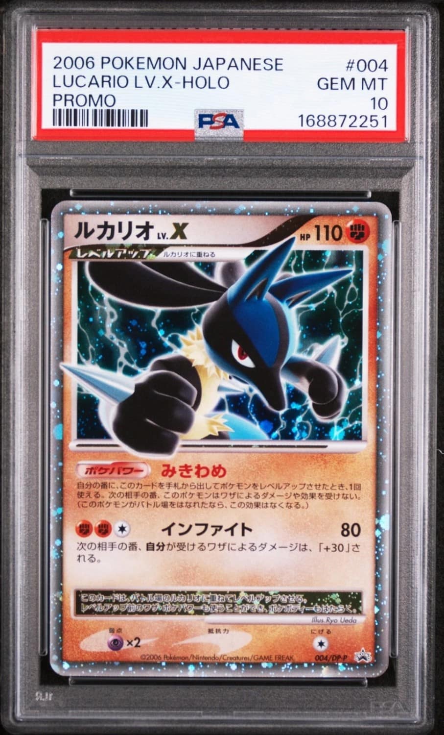 Lucario Lv X