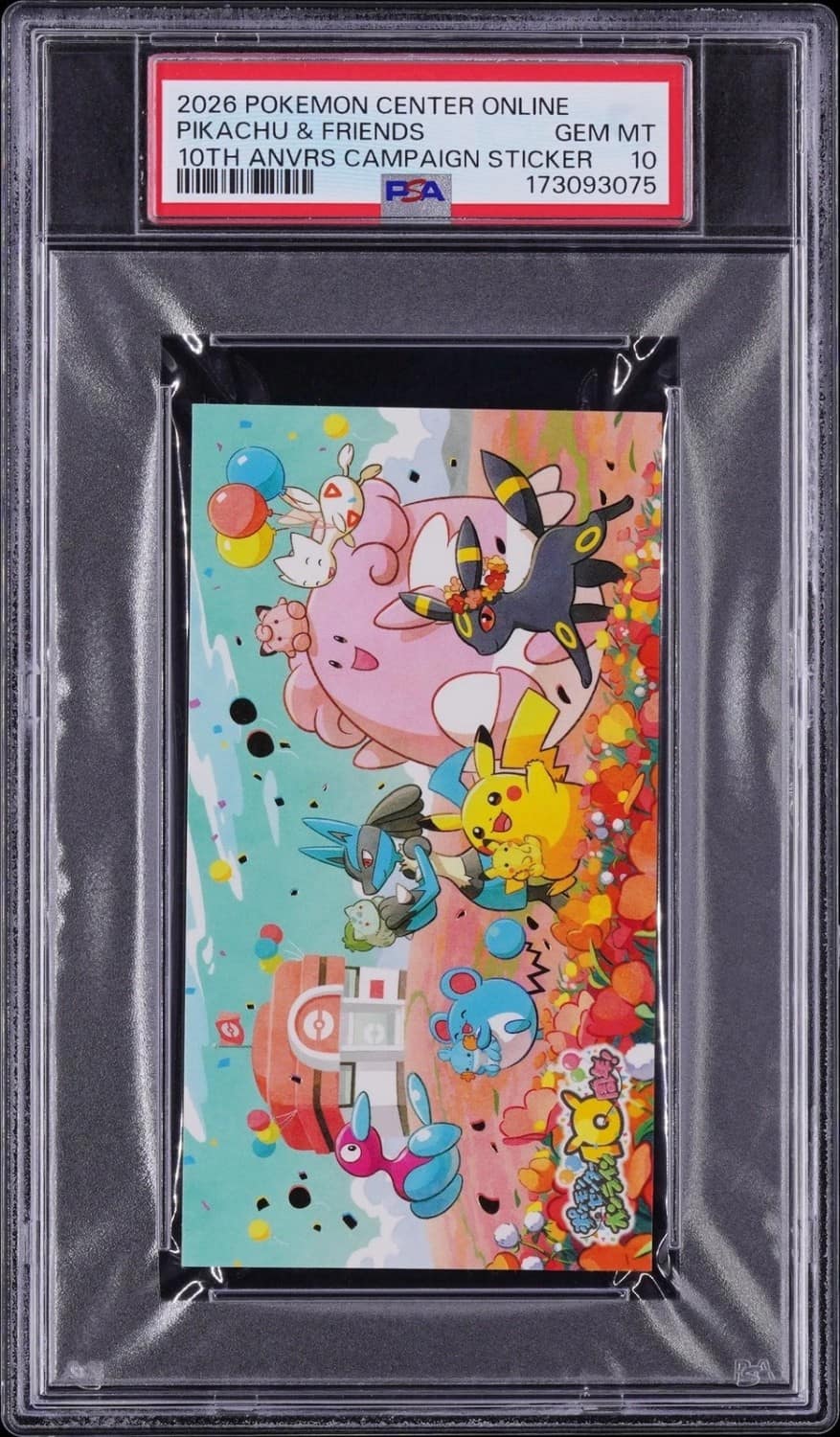 Pikachu & Friends