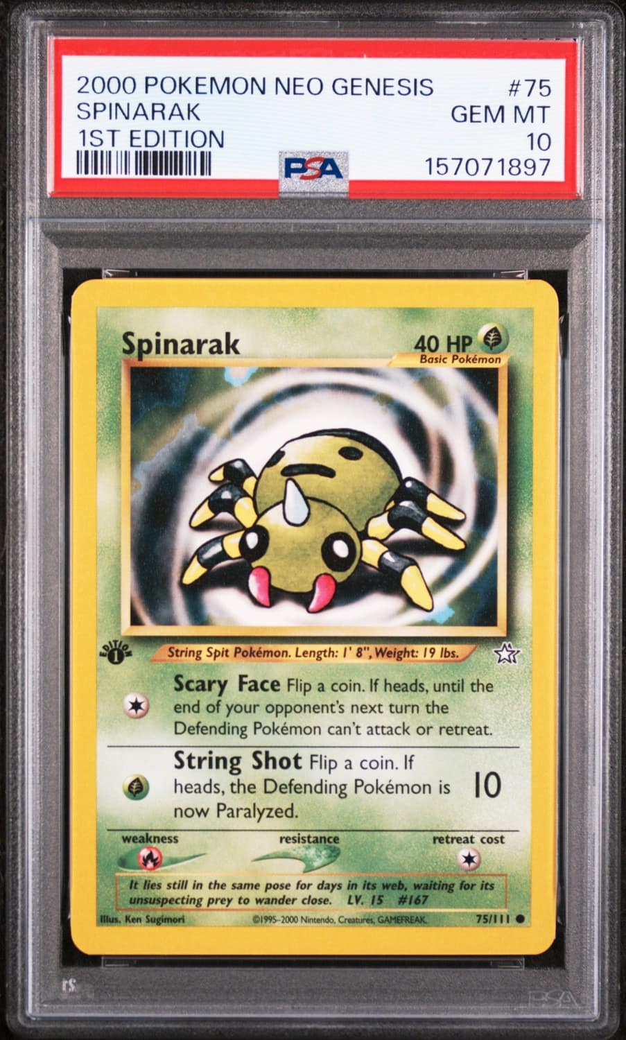 Spinarak