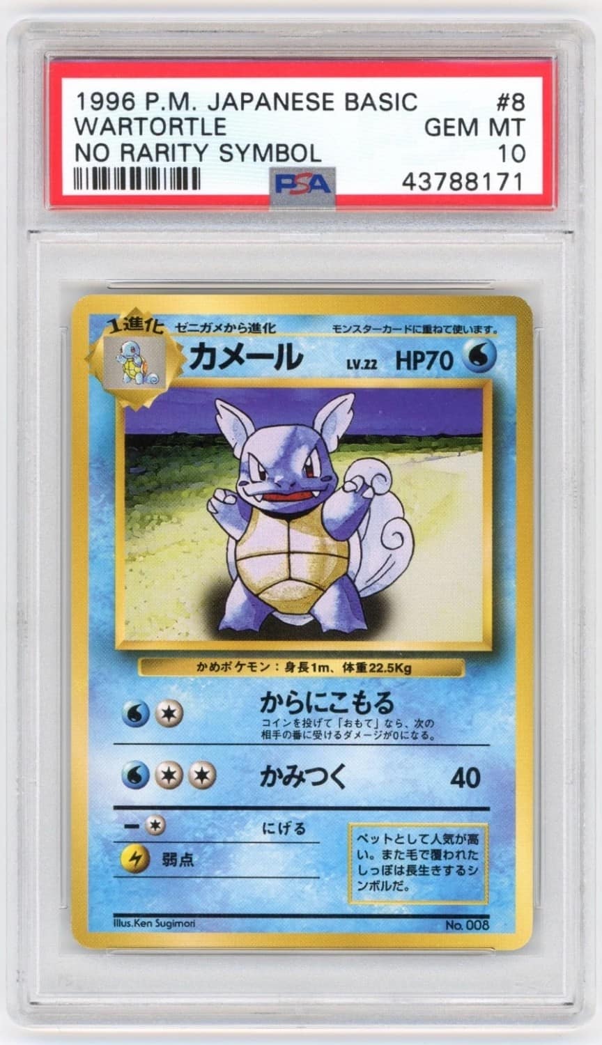 Wartortle