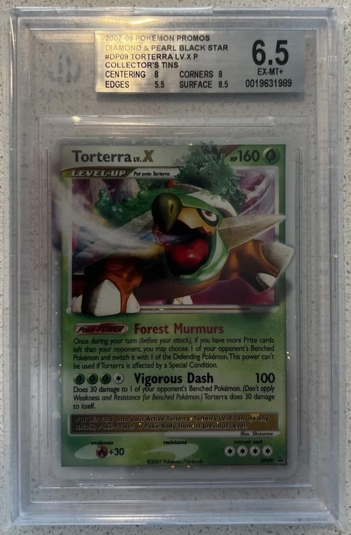 Torterra Lv X