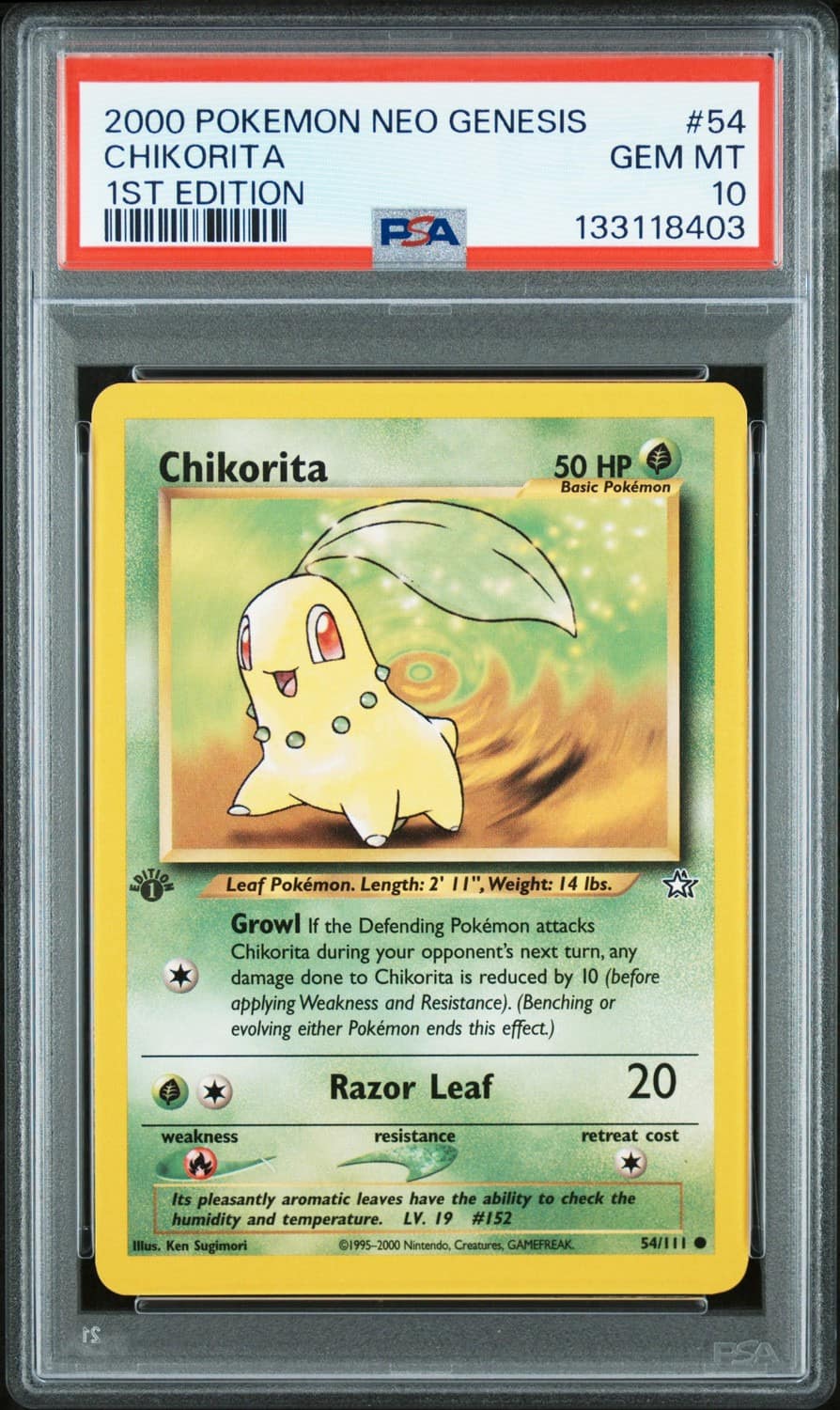 Chikorita