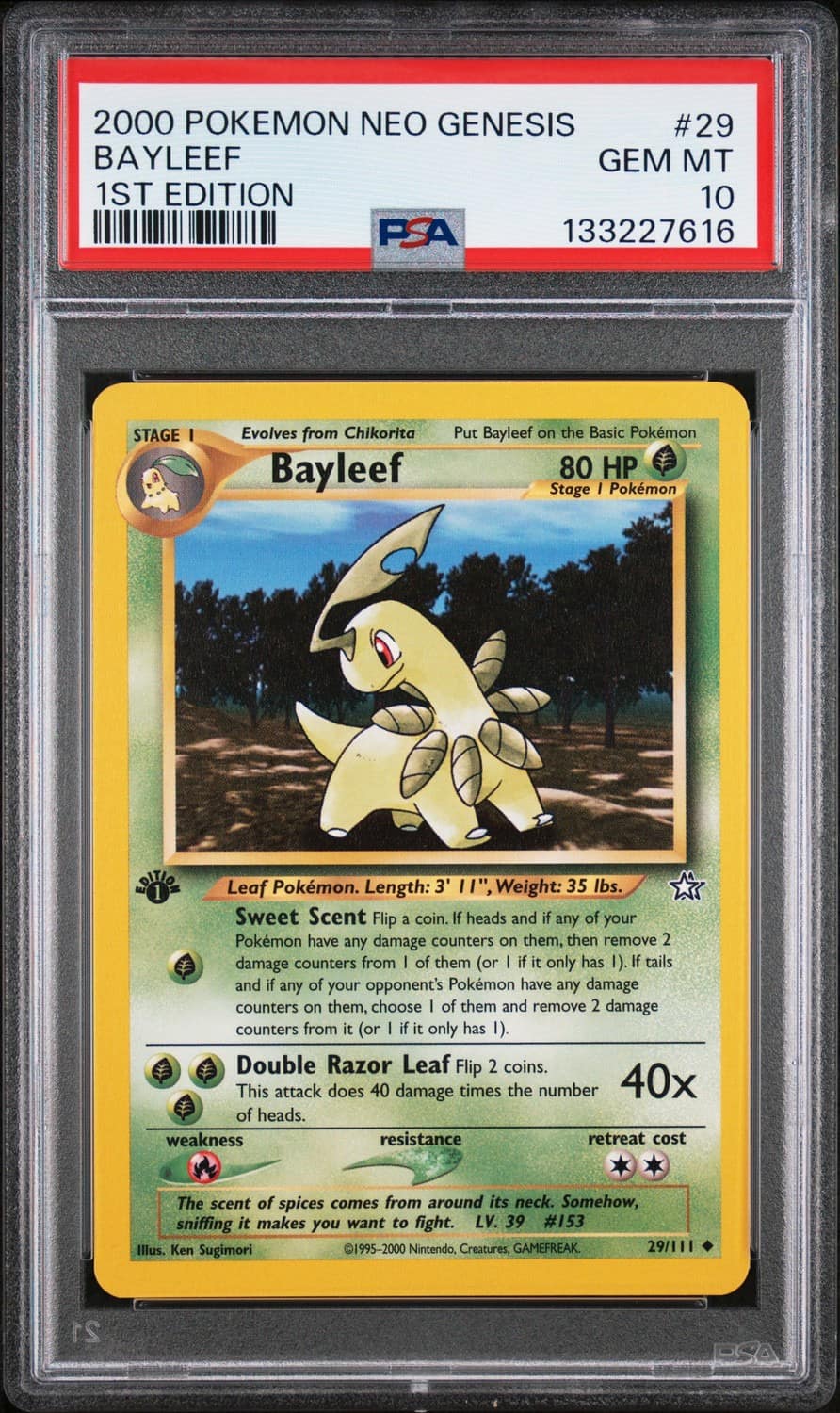 Bayleef
