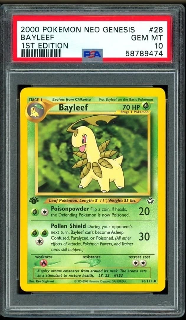 Bayleef