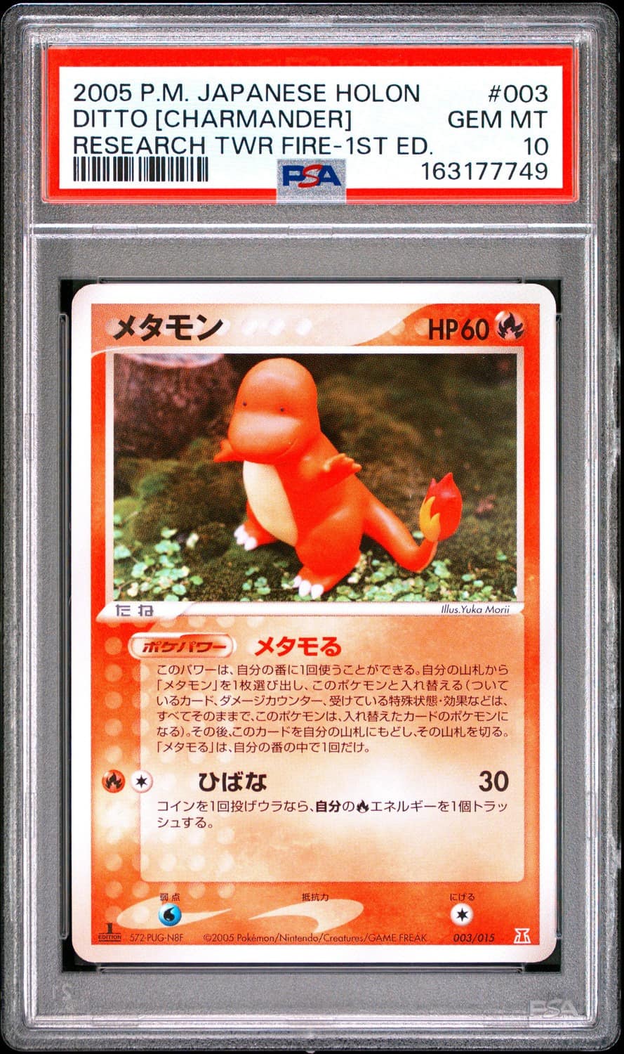 Ditto [charmander]