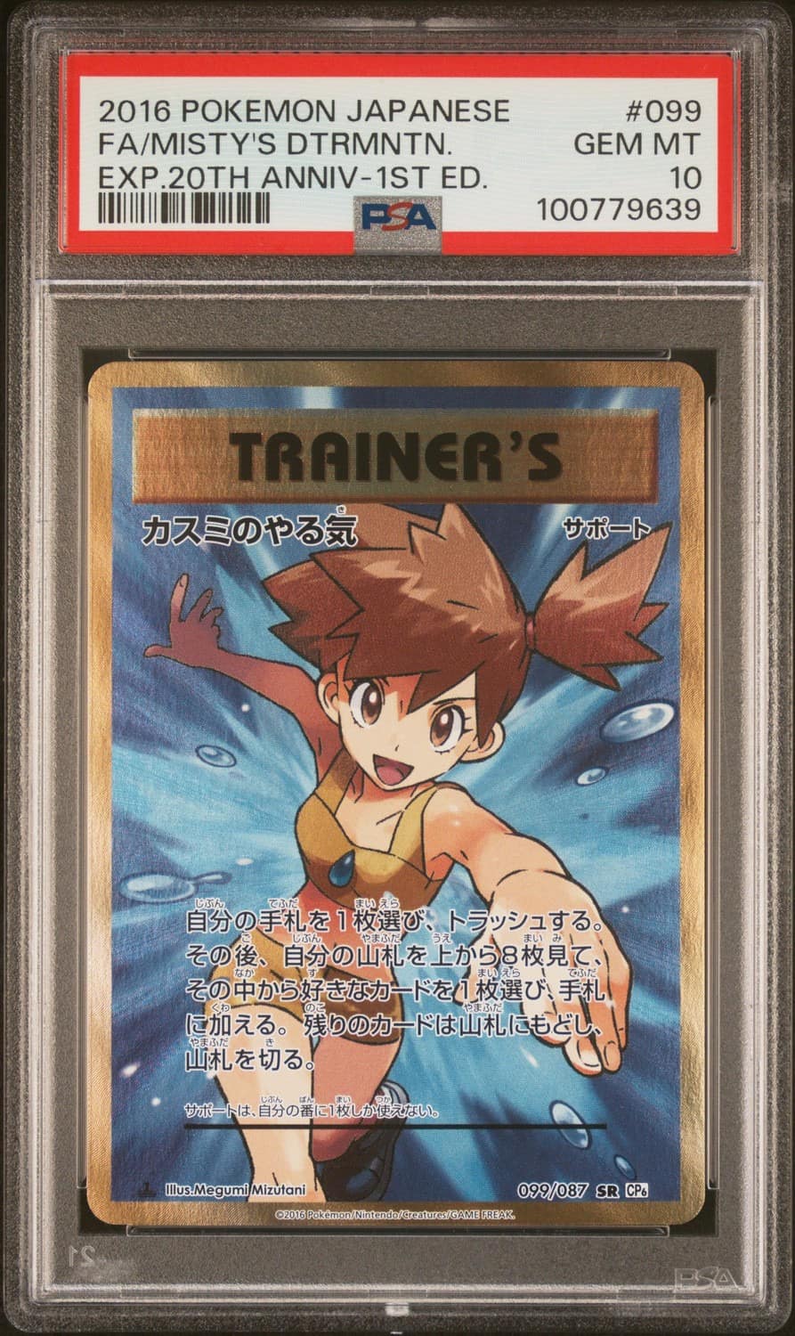 Misty'S Determination
