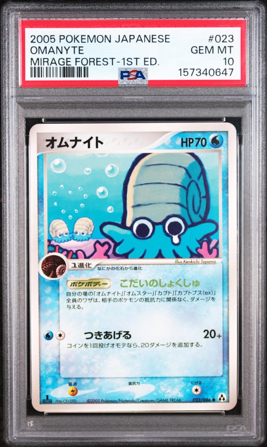 Omanyte