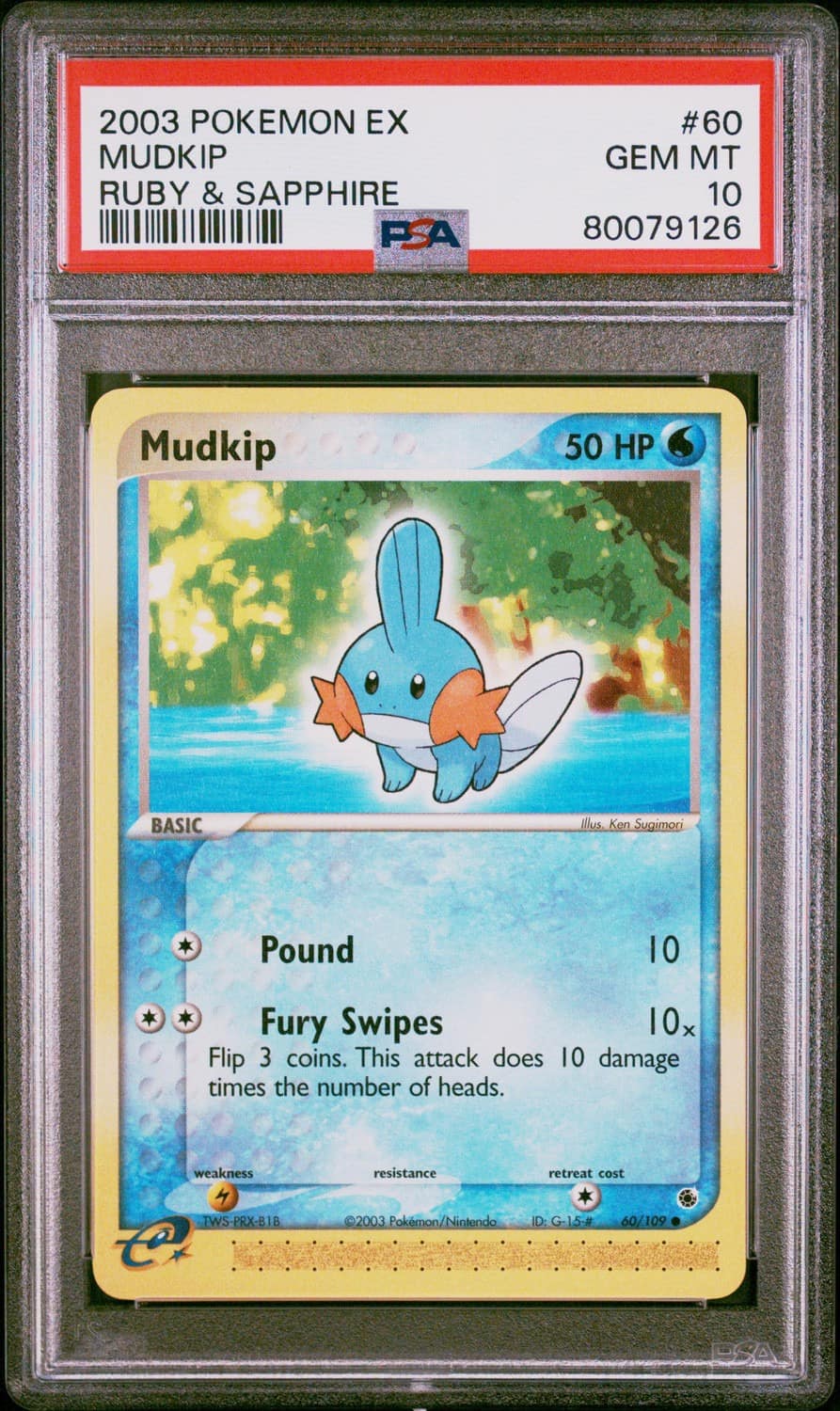 Mudkip