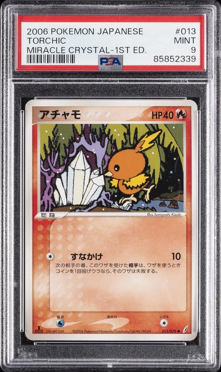 Torchic